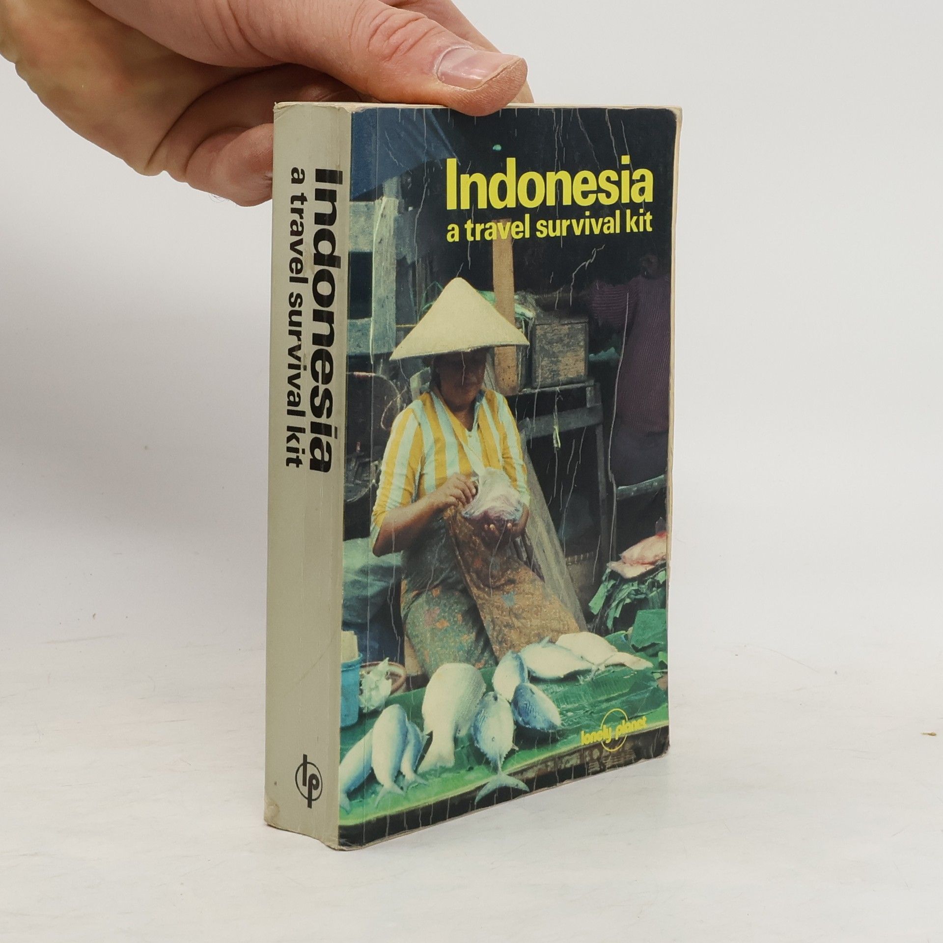 Ginny Bruce Indonesia A Travel Survival Kit