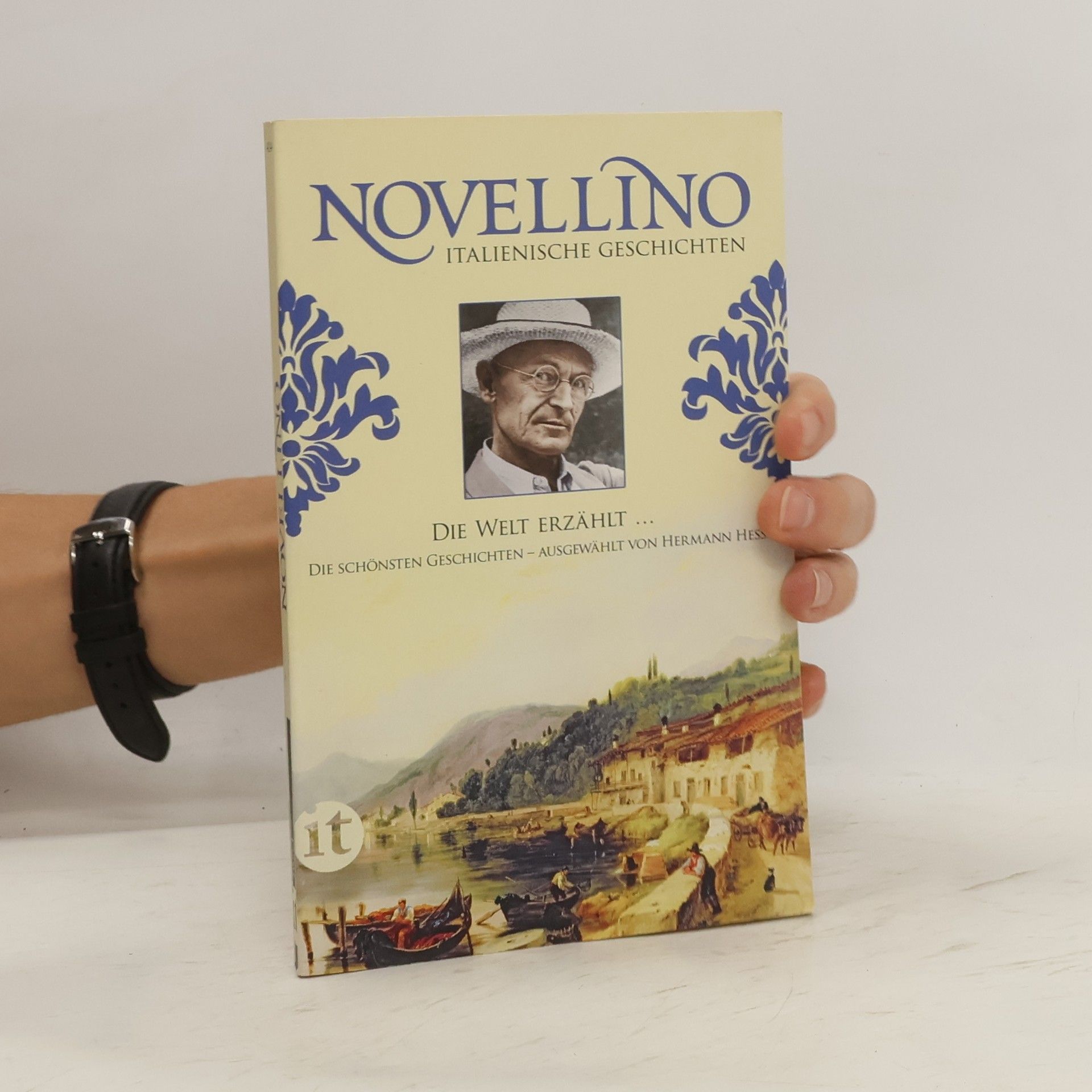 Hermann Hesse Novellino