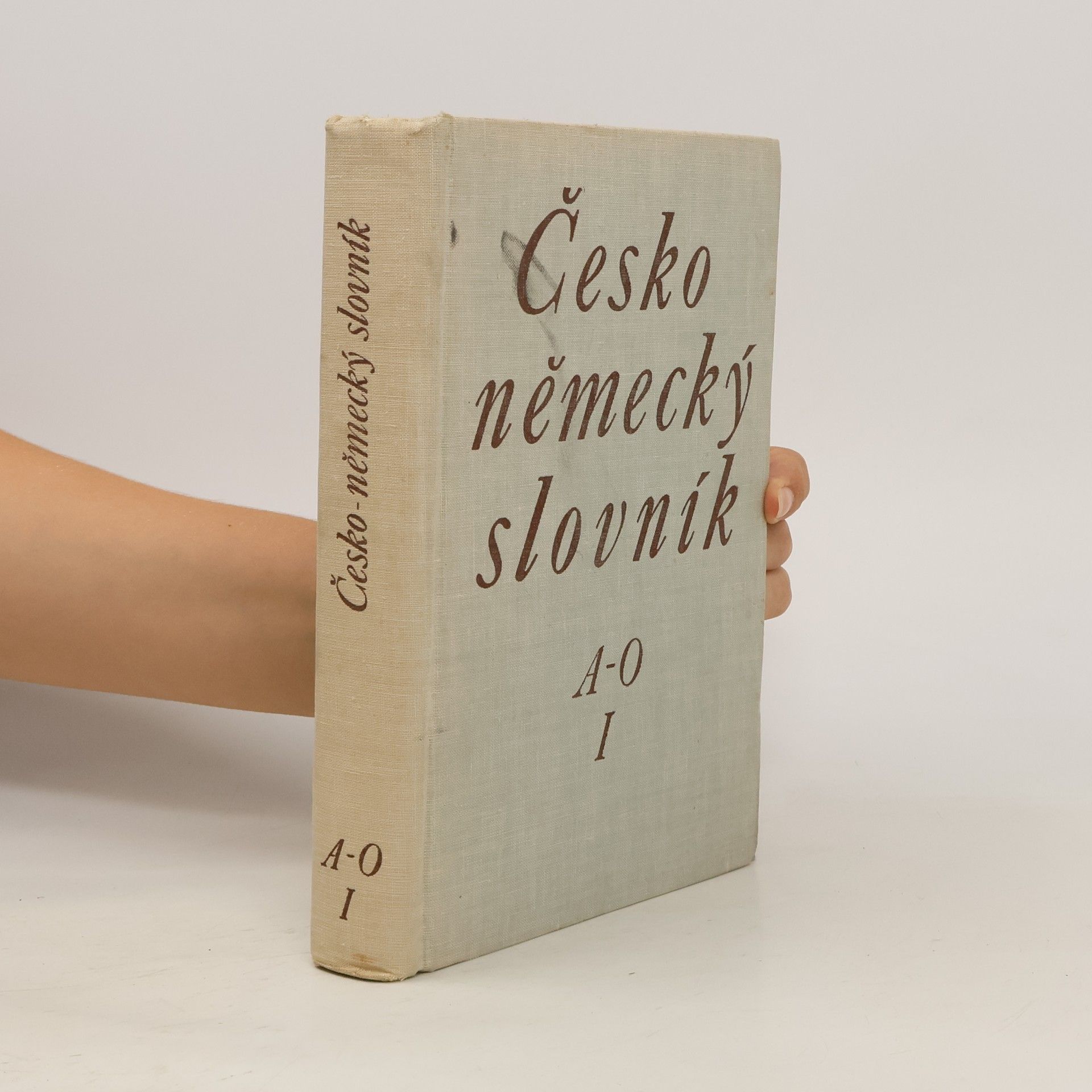 Autorenkollektiv Česko německý slovník I. A-O