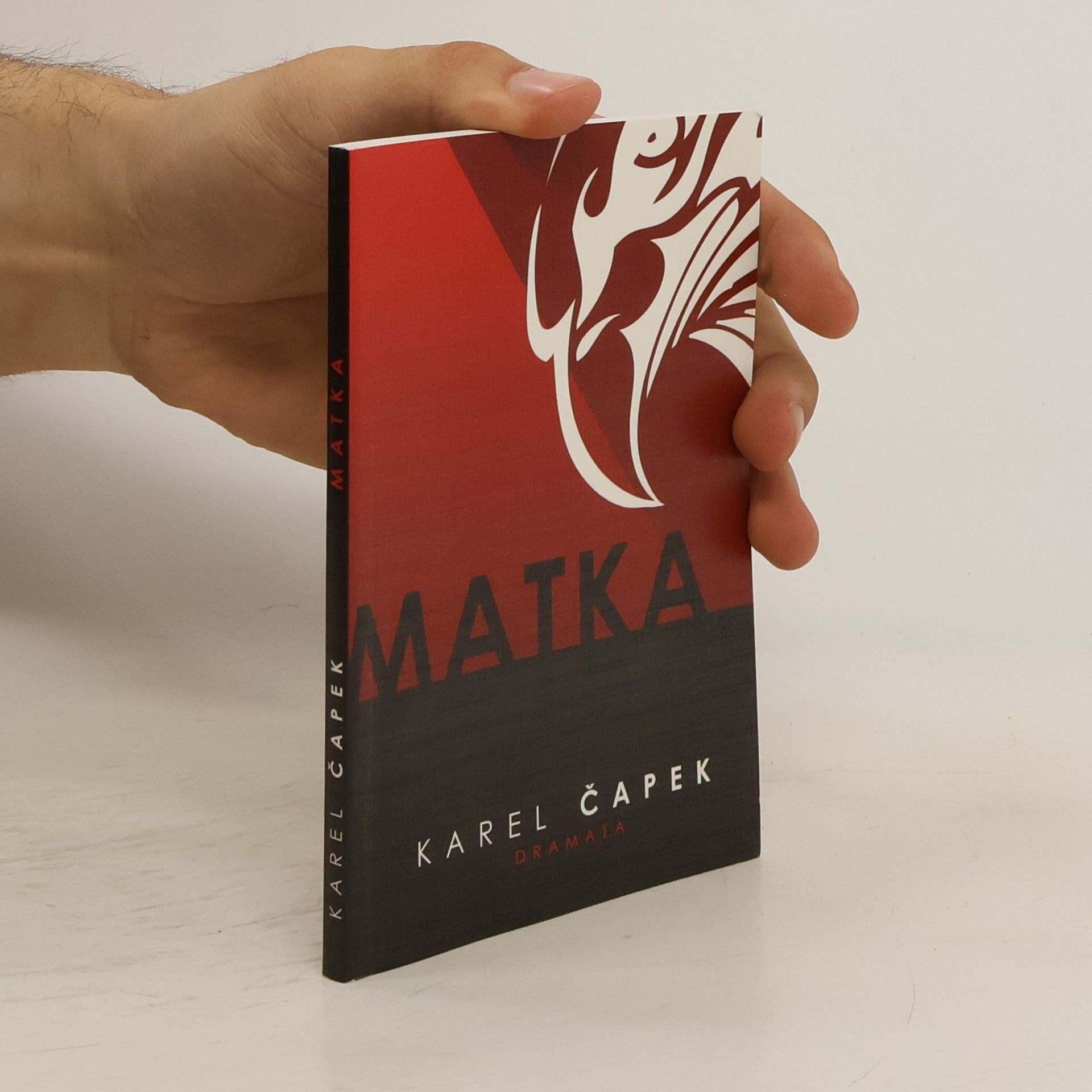 Karel Čapek Matka