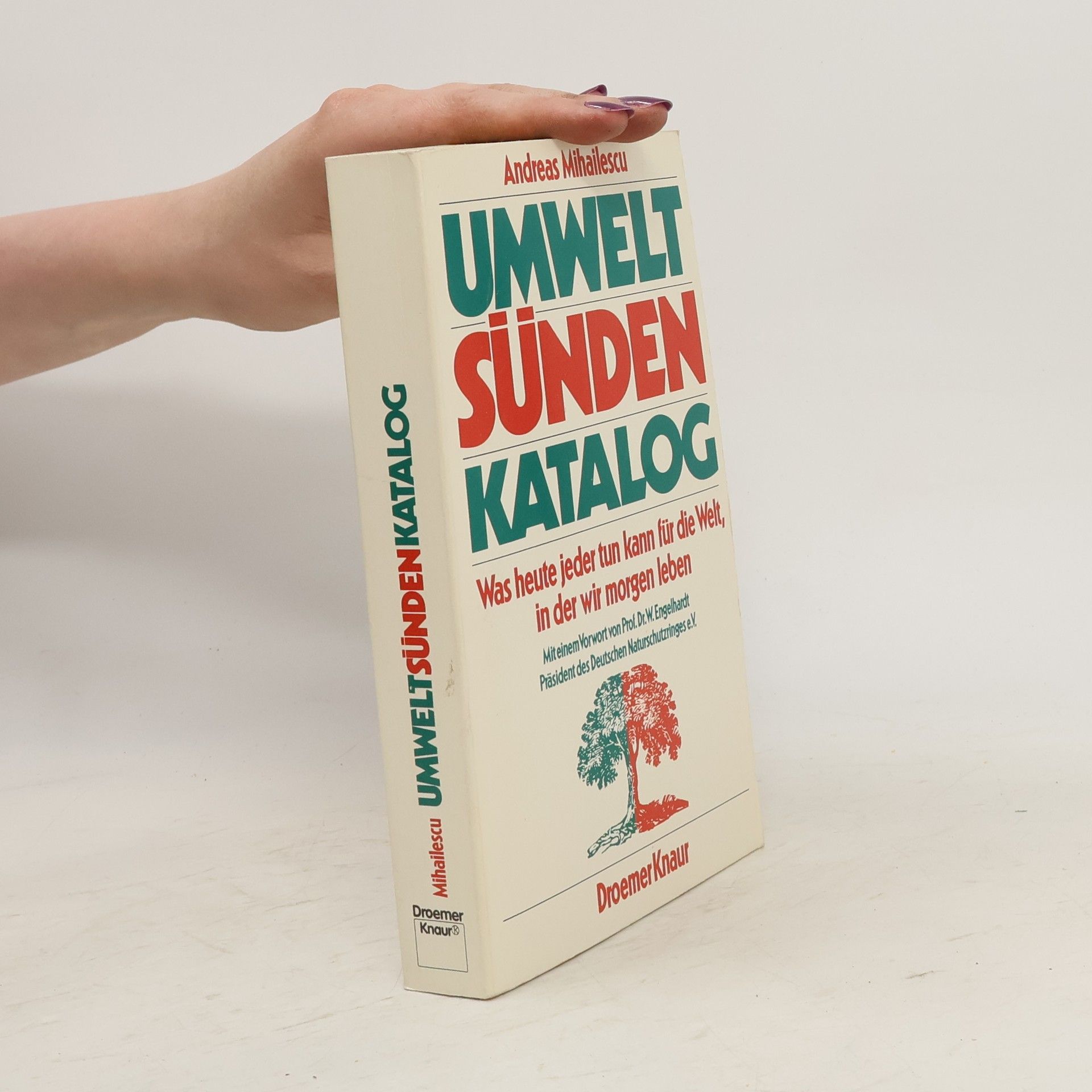Gisela Mihailescu Umweltsünden-Katalog