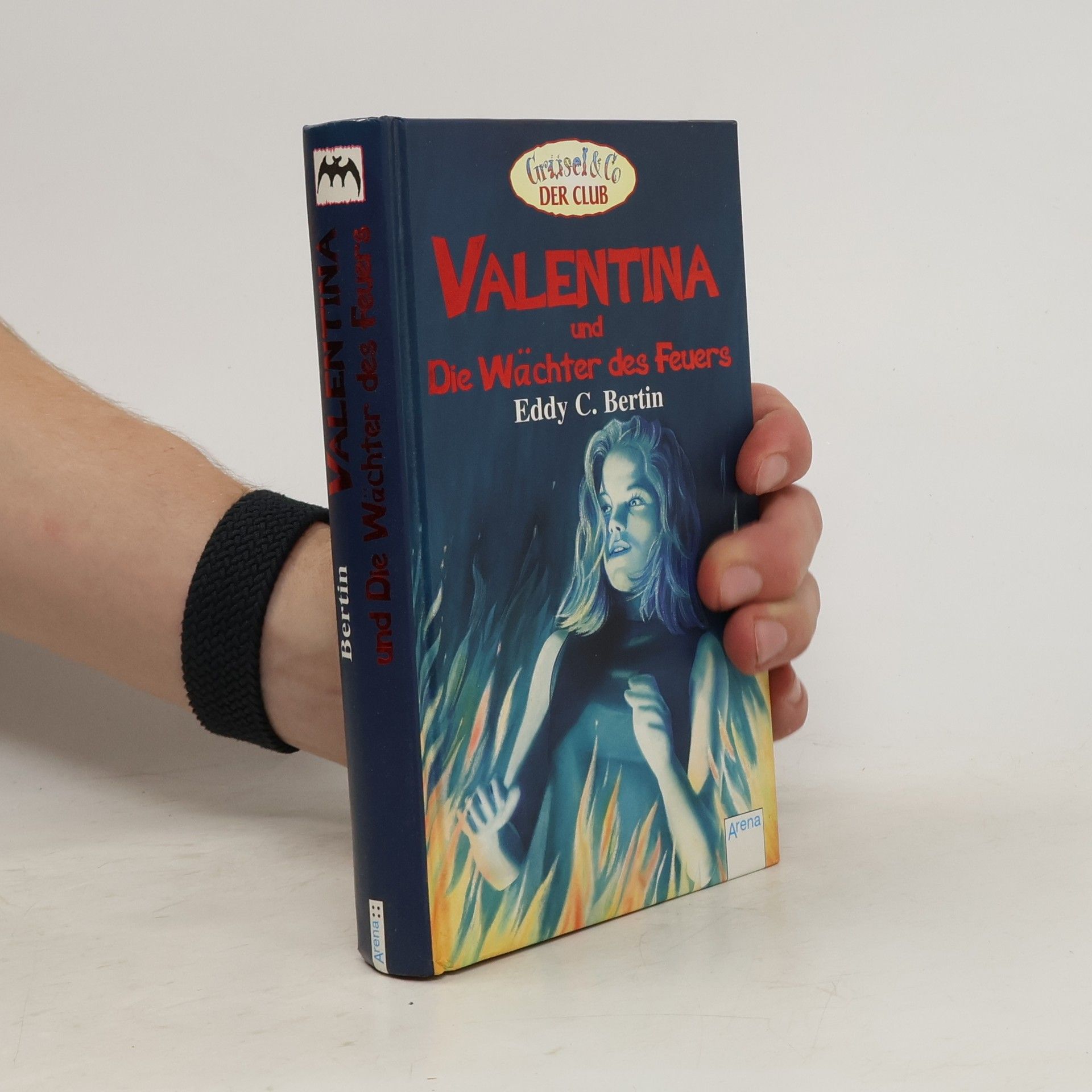 Eddy C. Bertin Valentina und Die Wächter des Feuers