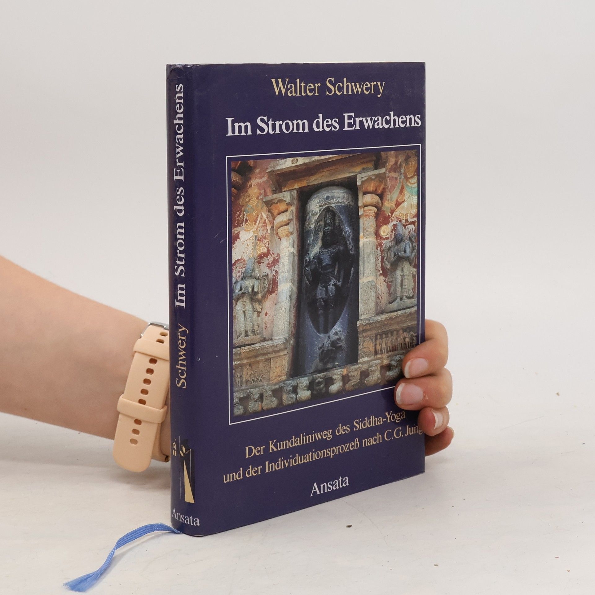 Walter Schwery Im Strom des Erwachens. Der Kundaliniweg des Siddha-Yoga und der Individuationsprozeß nach C. G. Jung