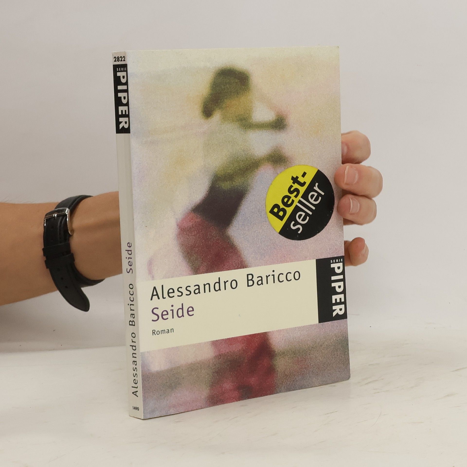 Alessandro Baricco Seide