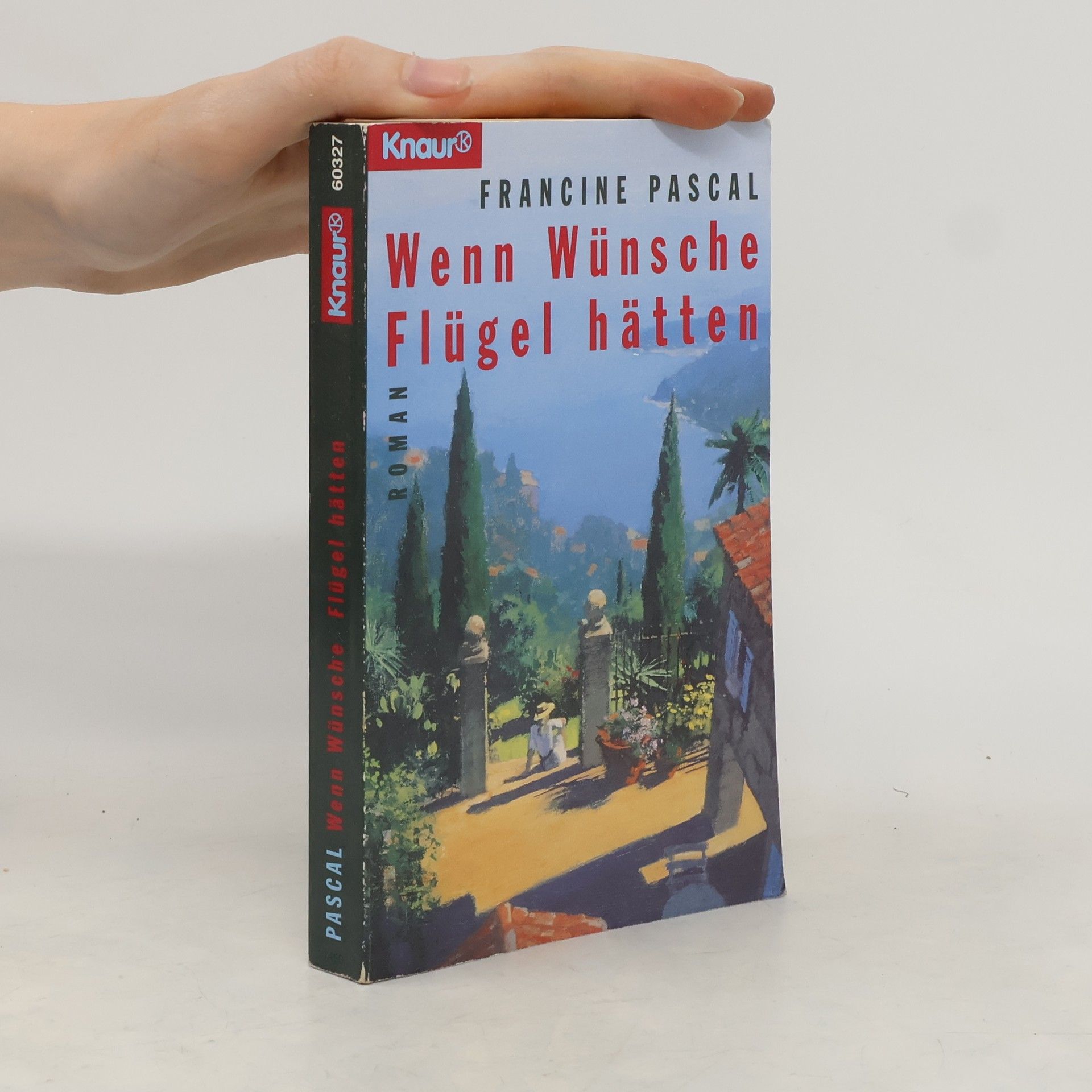 Francine Rubin Pascal Wenn Wünsche Flügel hätten