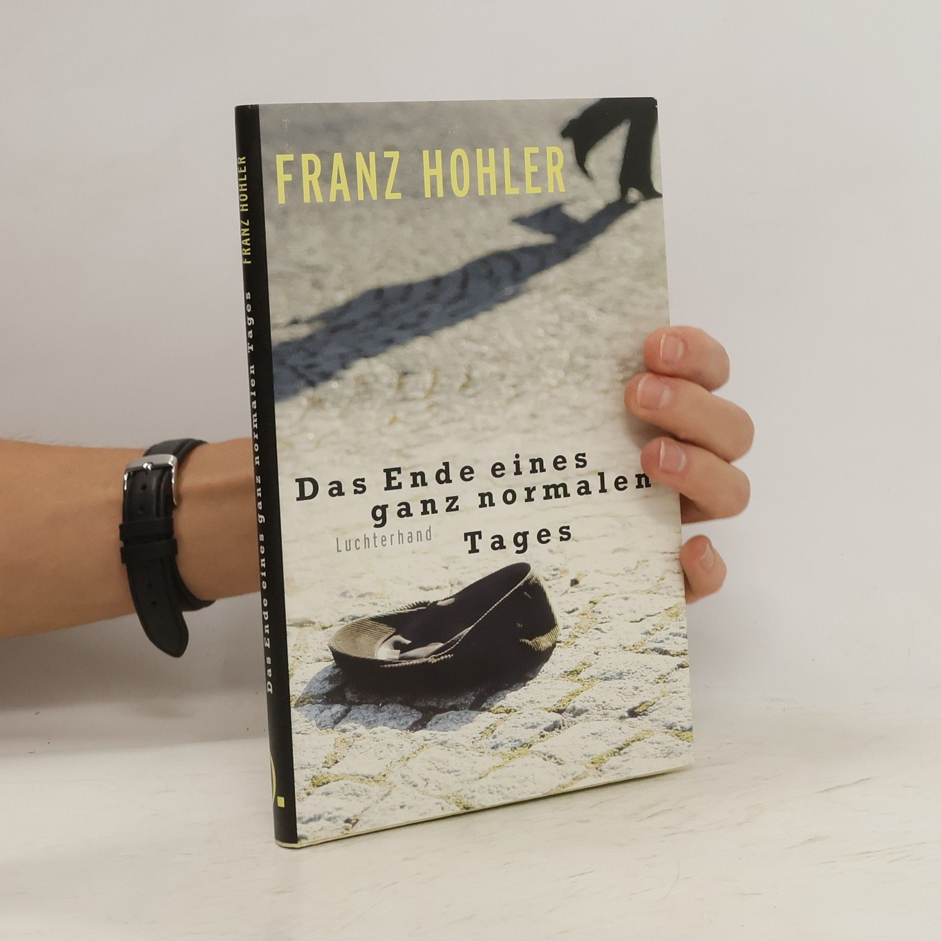 Franz Hohler Das Ende eines ganz normalen Tages