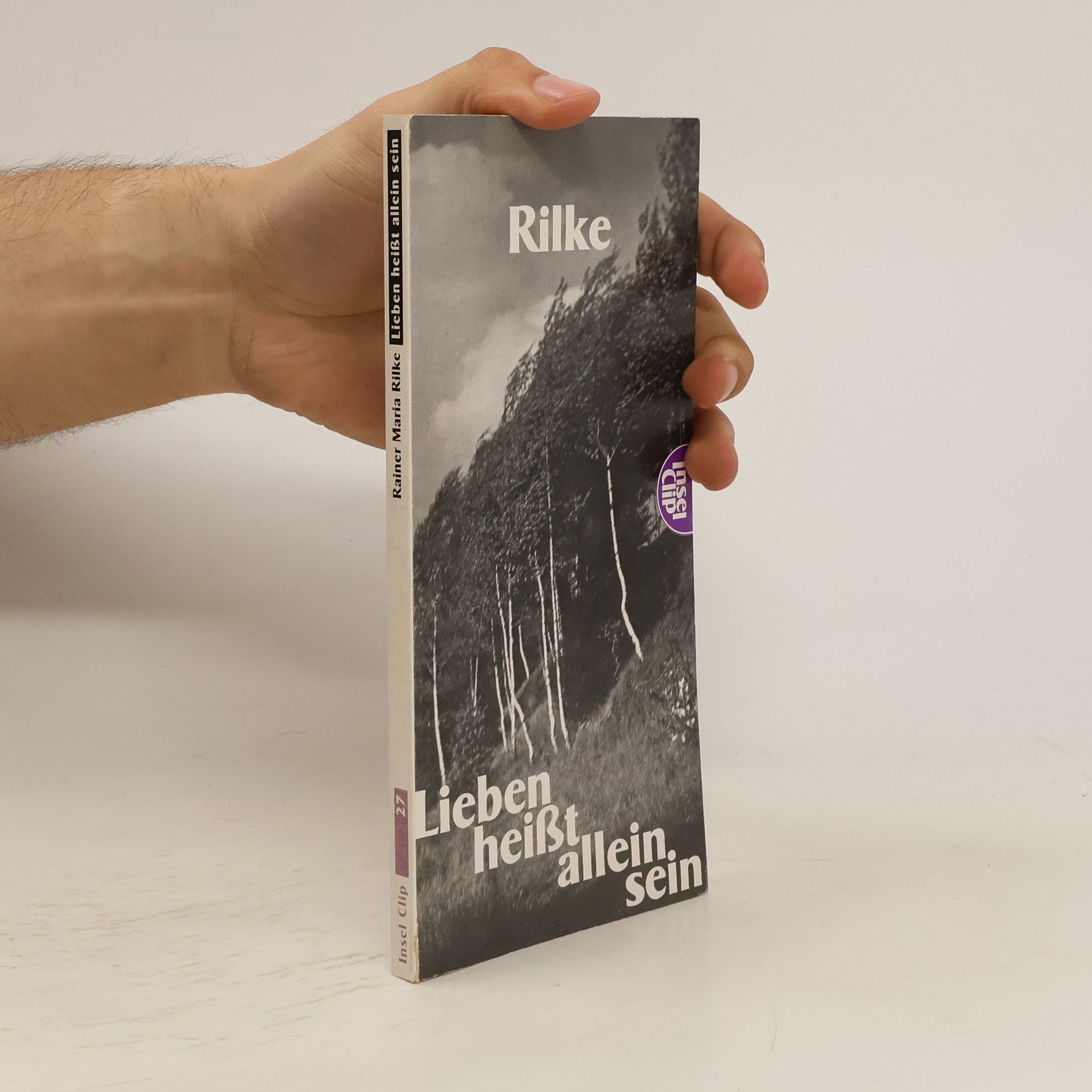 Rainer Maria Rilke Lieben heisst allein sein
