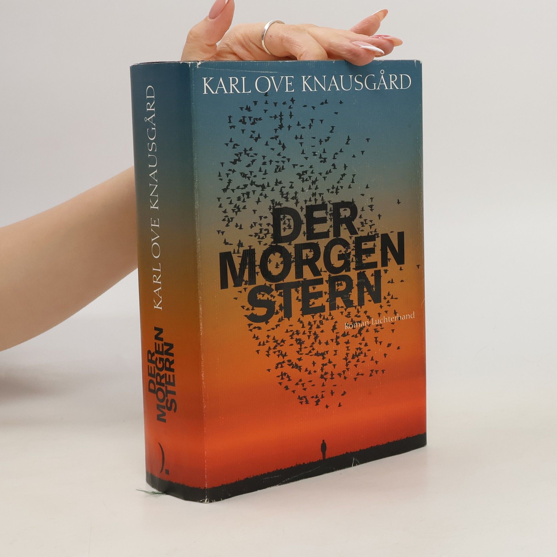 Karl Ove Knausgård Der Morgenstern