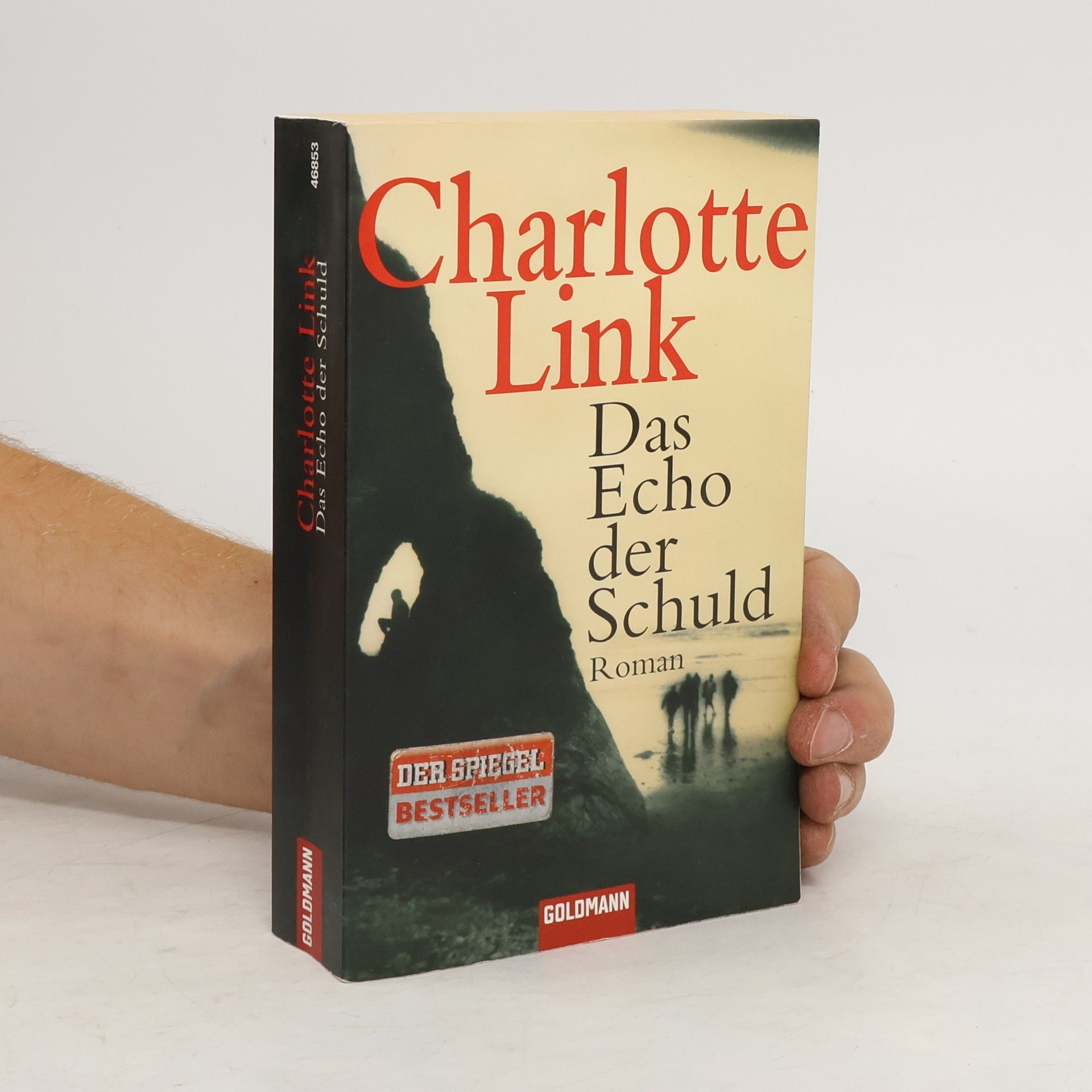 Charlotte Link Das Echo der Schuld