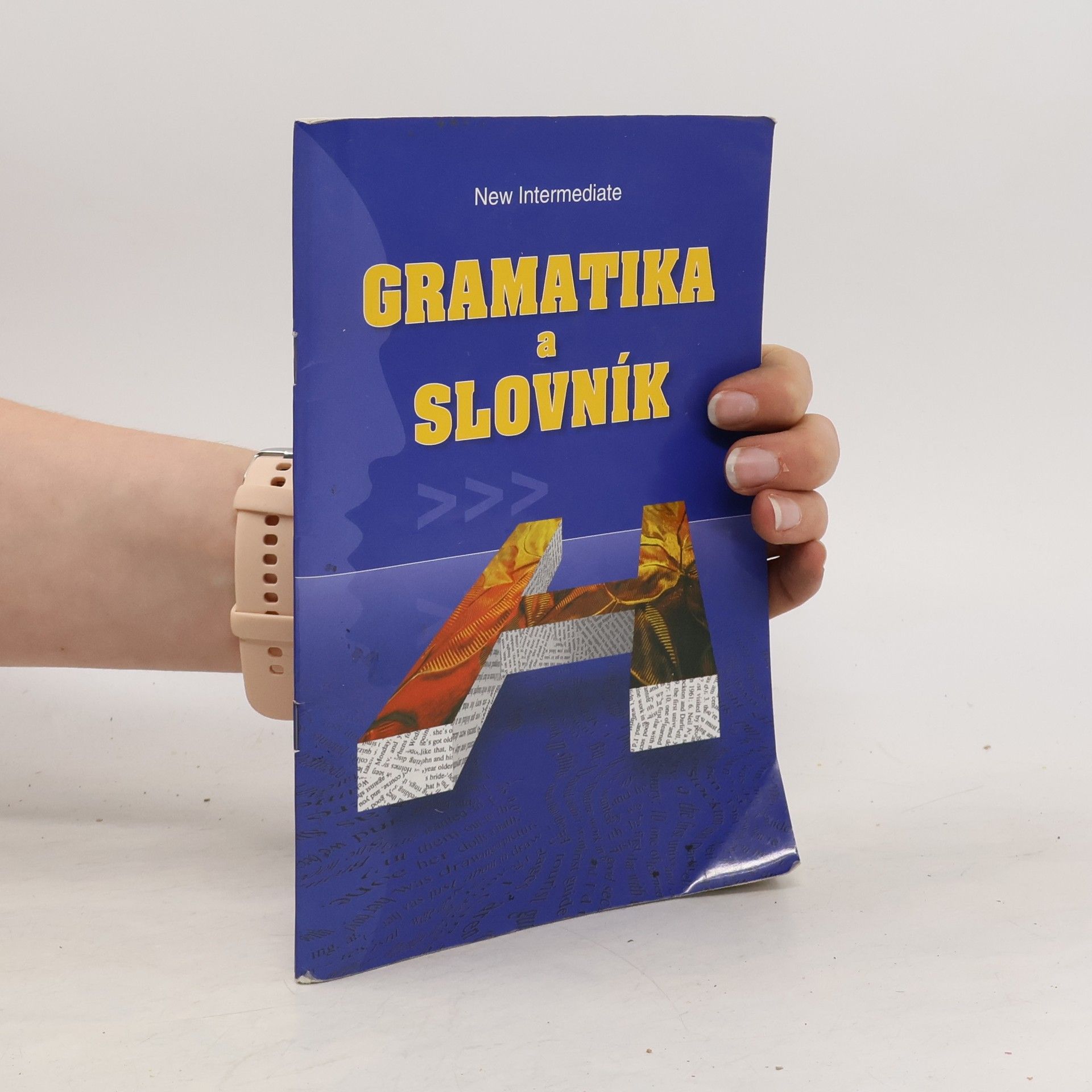Zdeněk Šmíra Gramatika a slovník: New Intermediate
