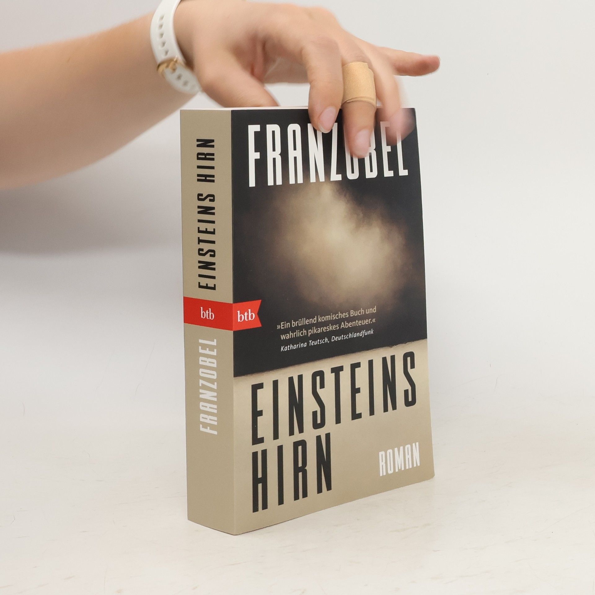 Franzobel Einsteins Hirn