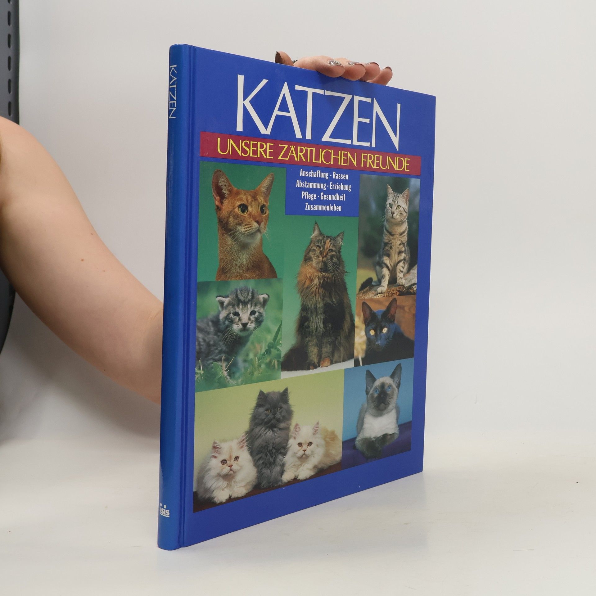 Antje Breuer Katzen. Unsere zärtlichen Freunde