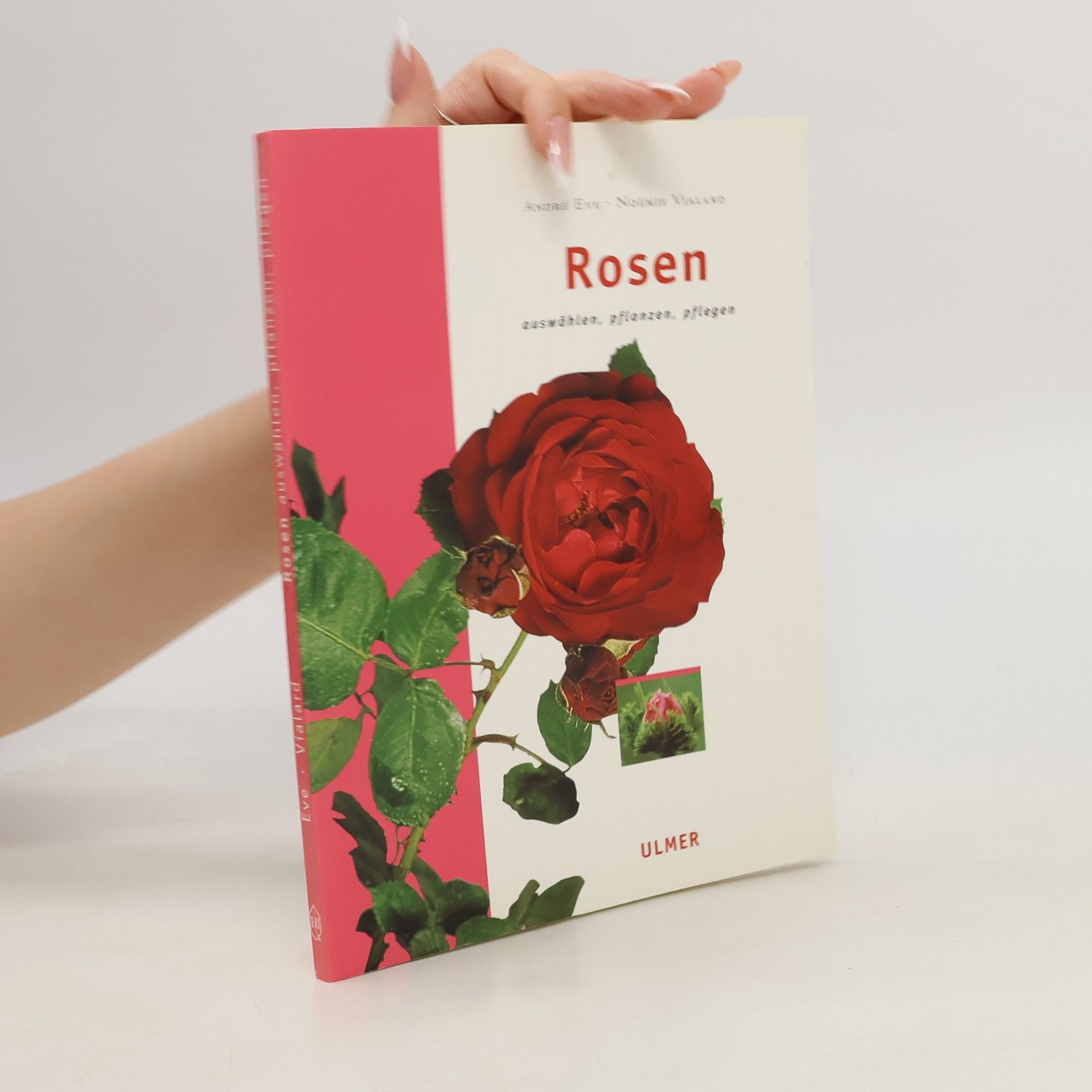 Noémie Vialard Rosen