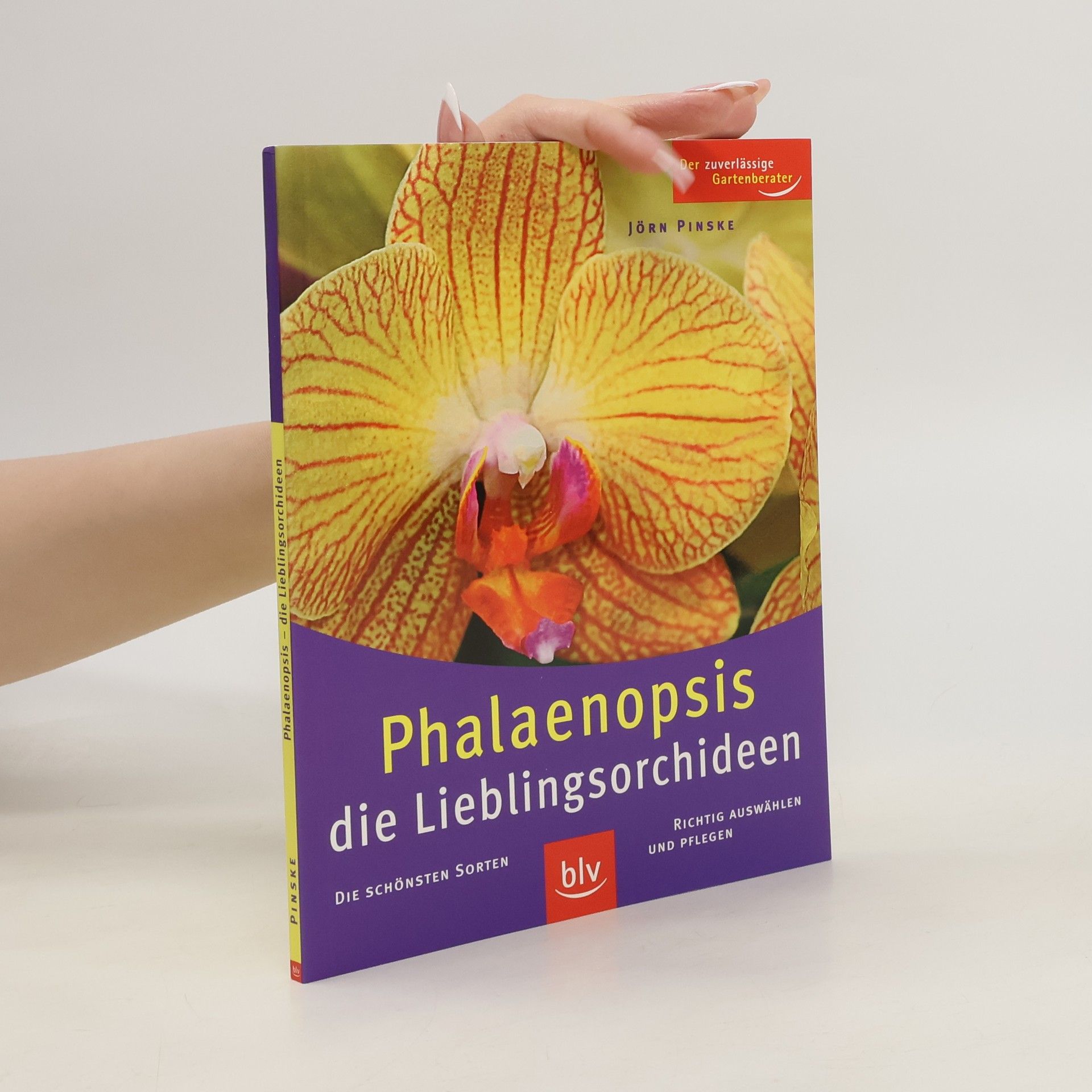 Jörn Pinske Phalaenopsis