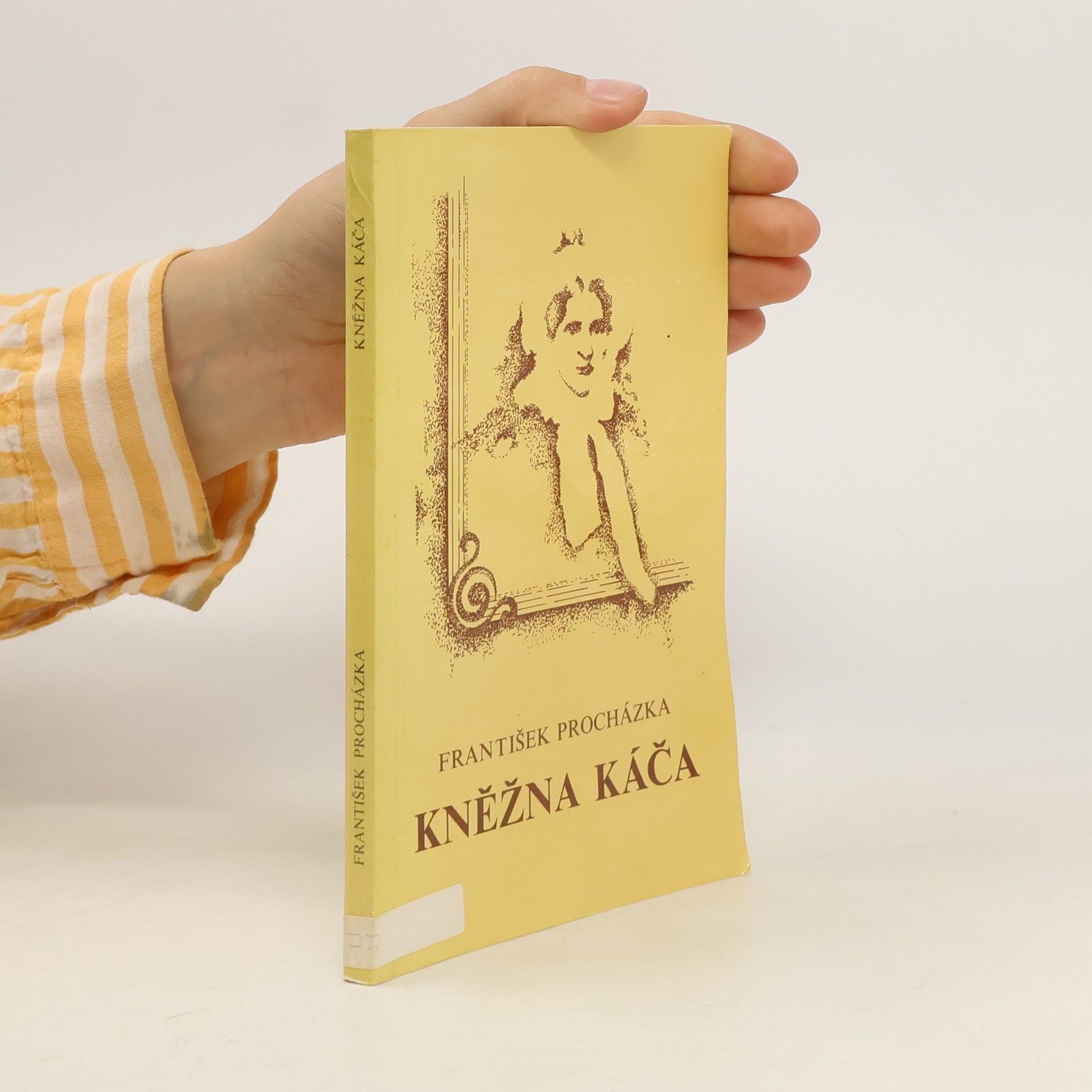 František Procházka Kněžna Káča : z minulosti pošumavského kraje