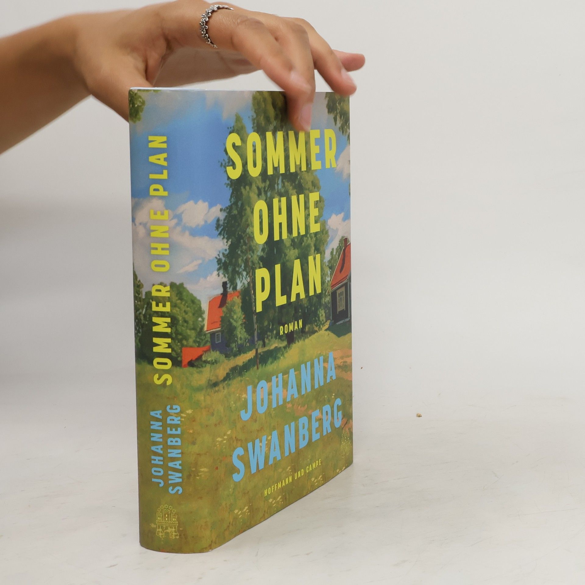 Johanna Swanberg Sommer ohne Plan
