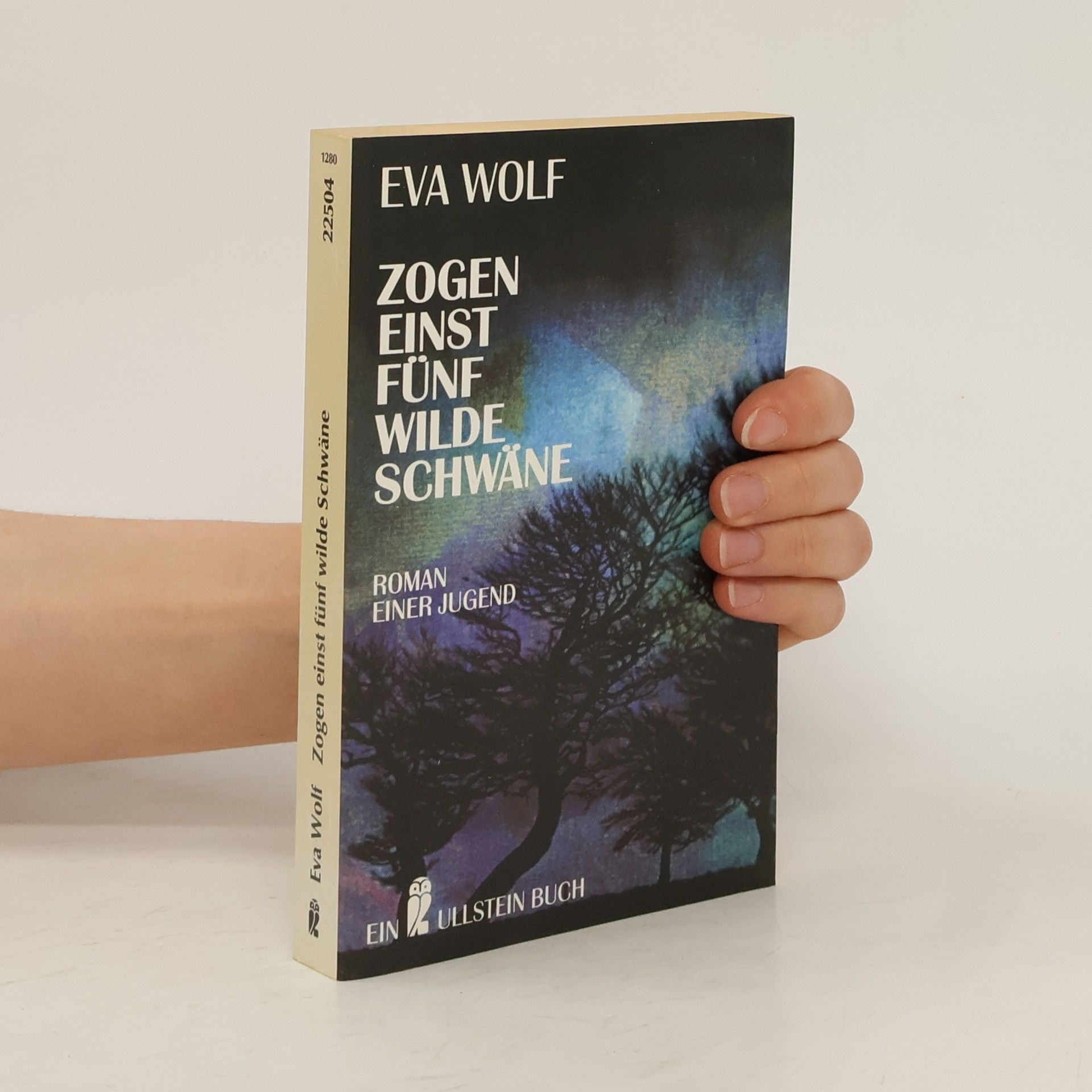 Eva Wolf Zogen einst fünf wilde Schwäne