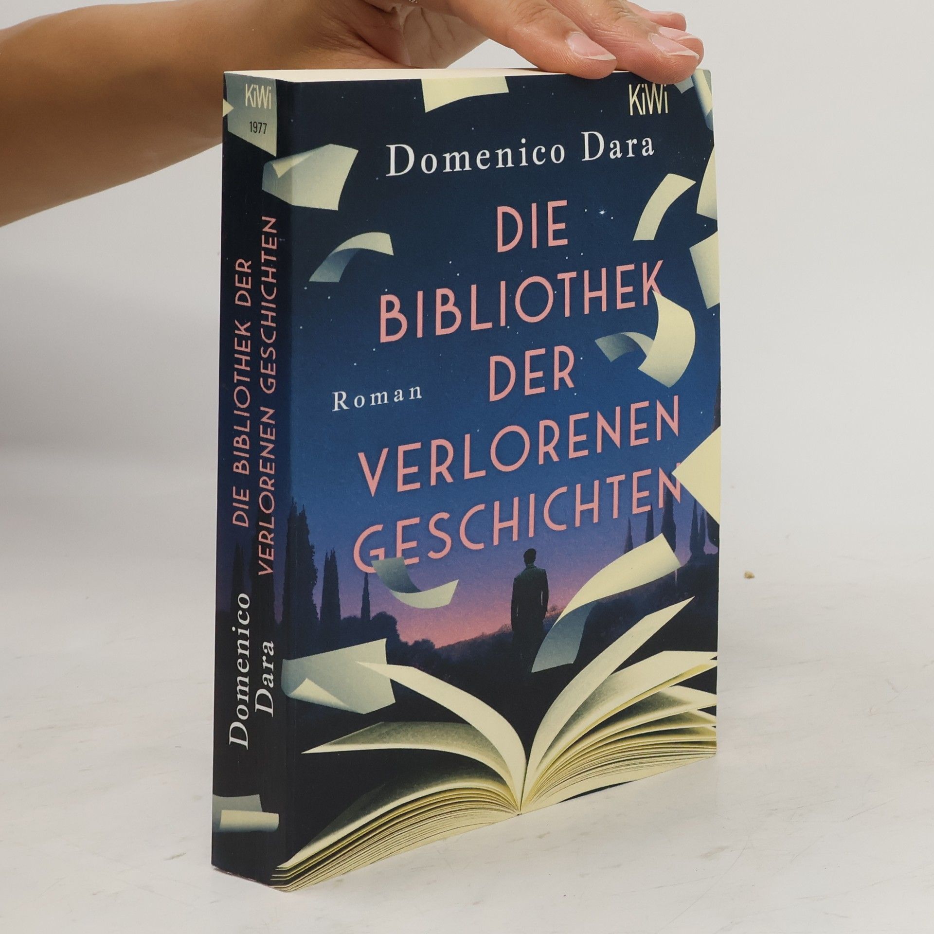 Domenico Dara Die Bibliothek der verlorenen Geschichten