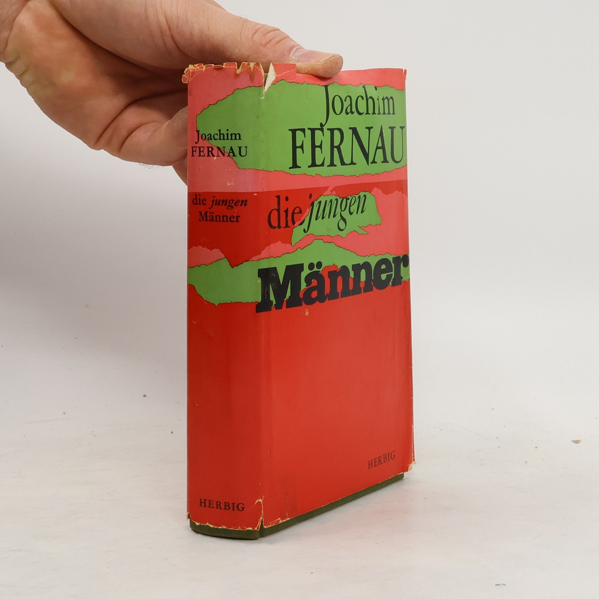Joachim Fernau Die jungen Männer