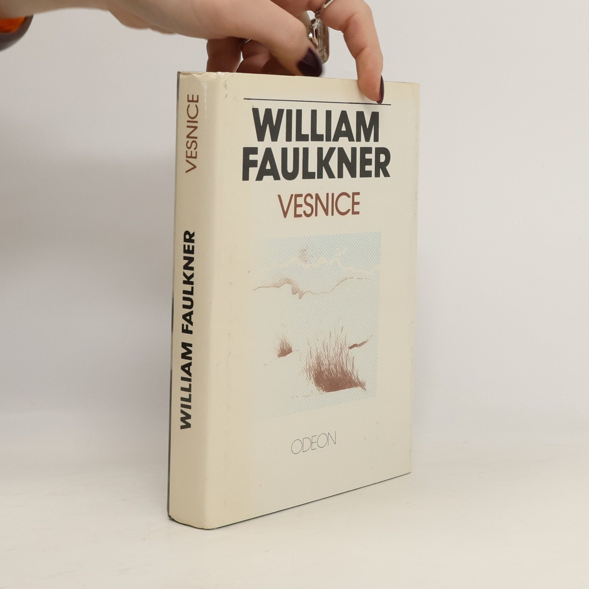 William Faulkner Vesnice
