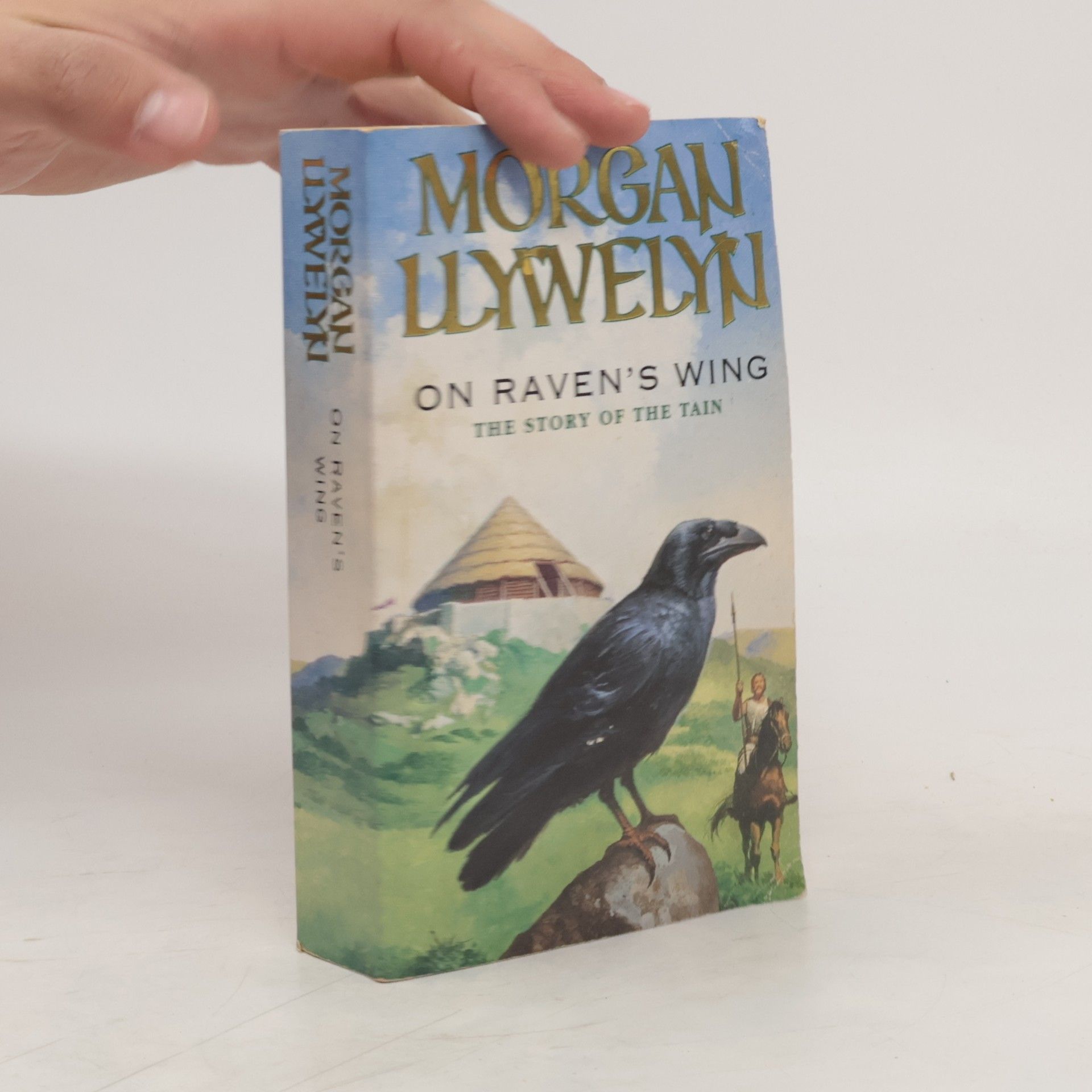 Morgan Llywelyn On Raven's Wing