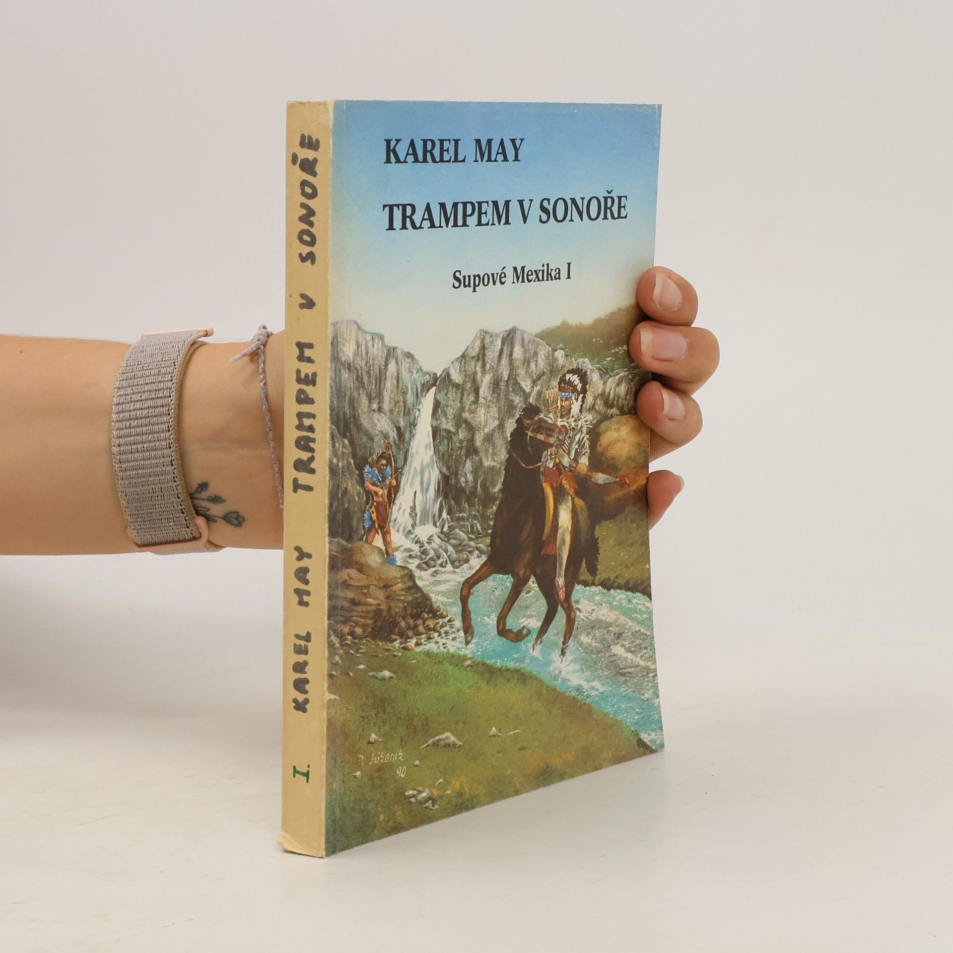 Karl May Trampem v Sonoře. Supové Mexika I.