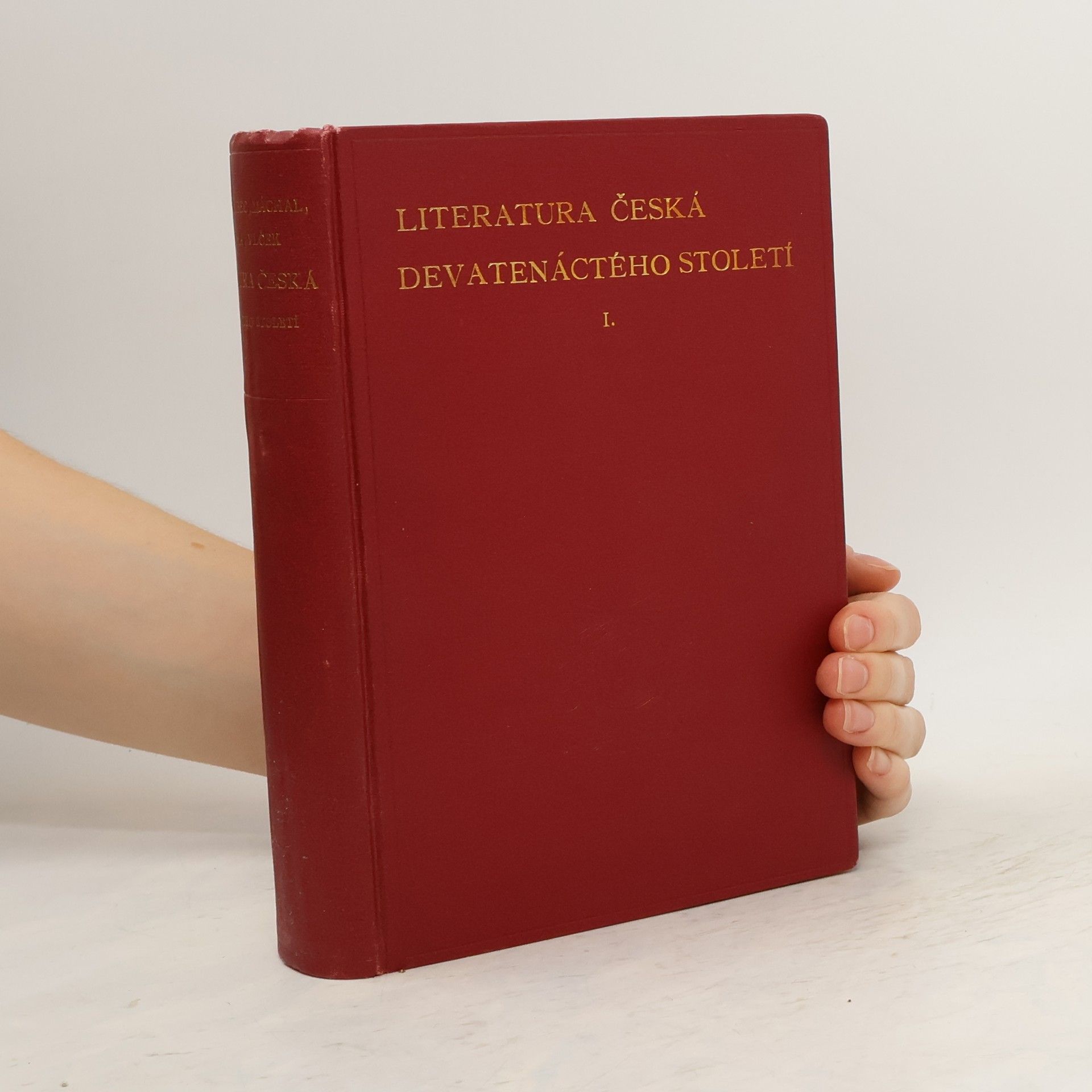 Josef Hanus Literatura česká devatenáctého století I.