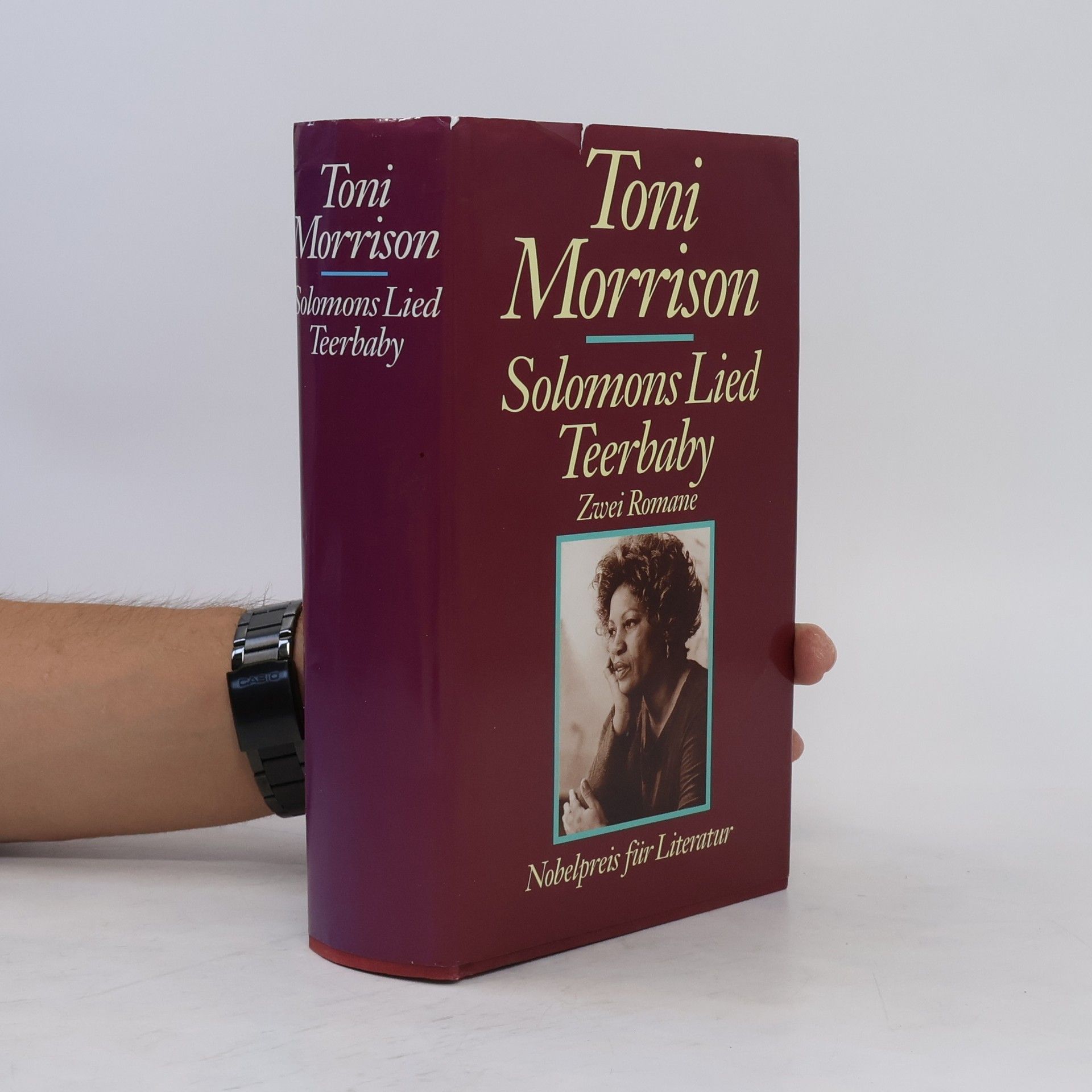 Toni Morrison Solomons Lied. Teerbaby