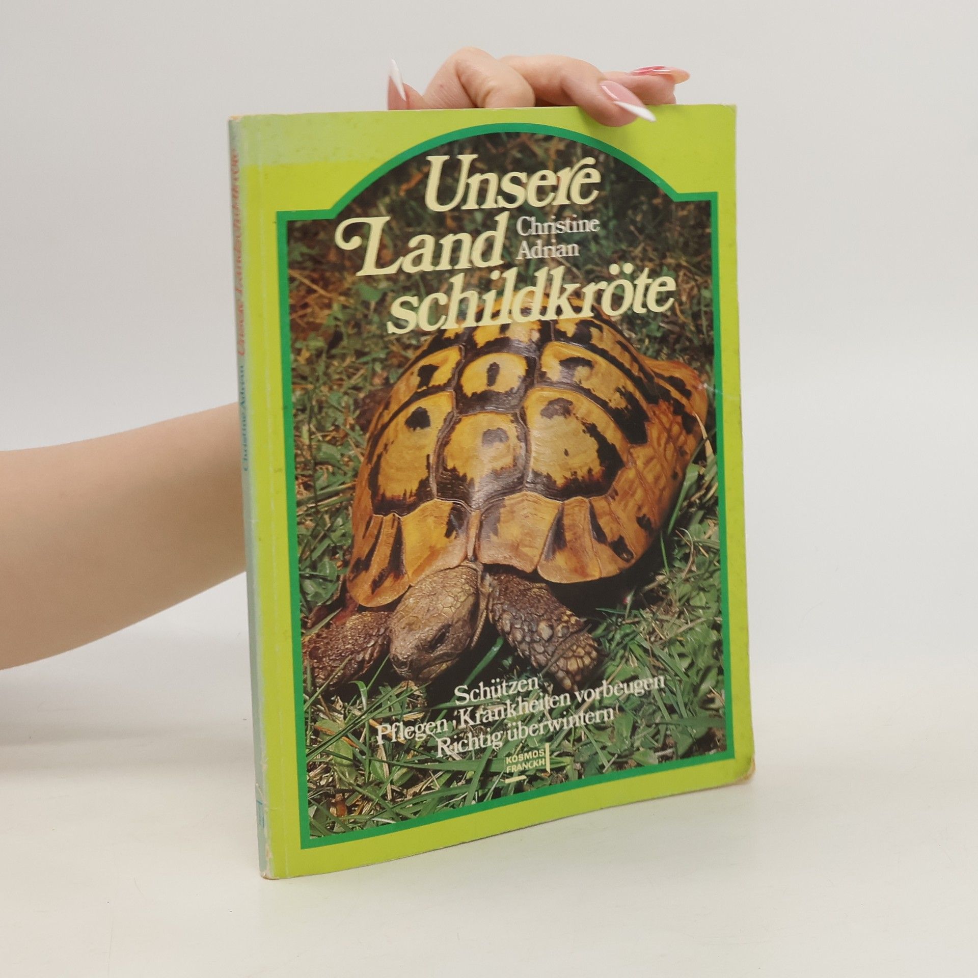 Christine Adrian Unsere Landschildkröte