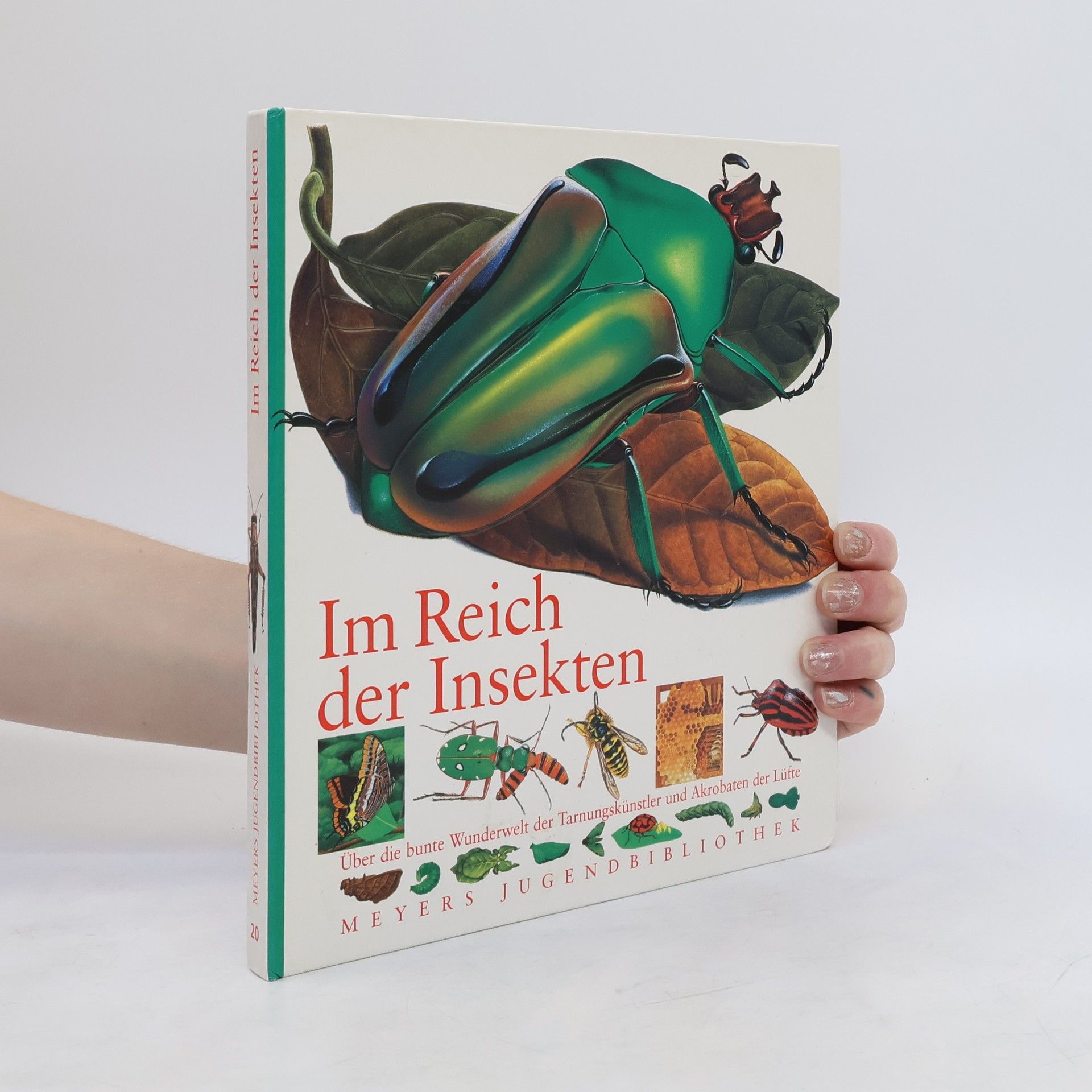 Hans Peter Thiel Im Reich der Insekten