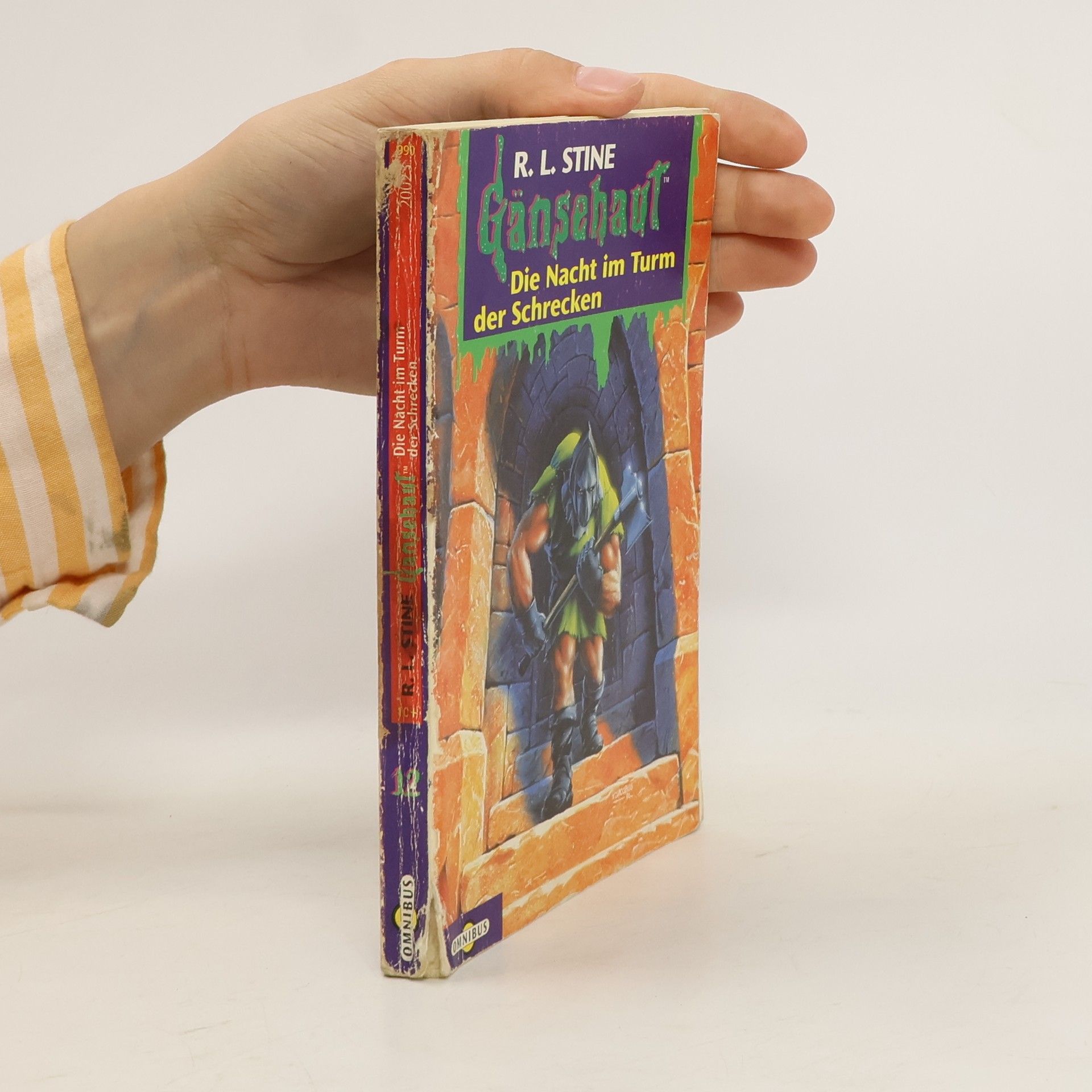 R. L. Stine Die Nacht im Turm der Schrecken. Gänsehaut Band 12