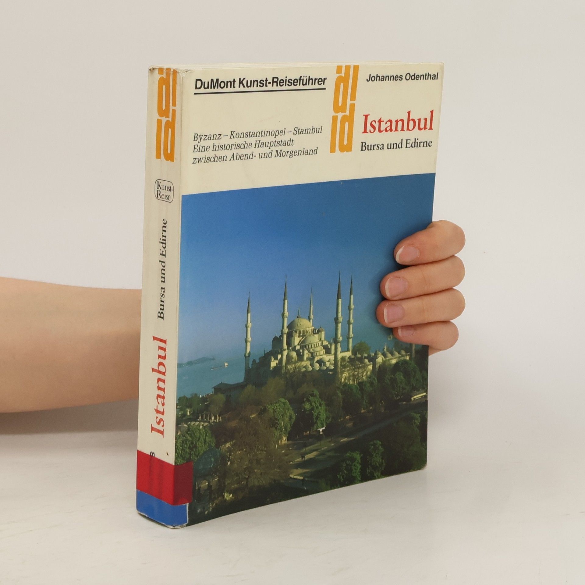 Johannes Odenthal Istanbul