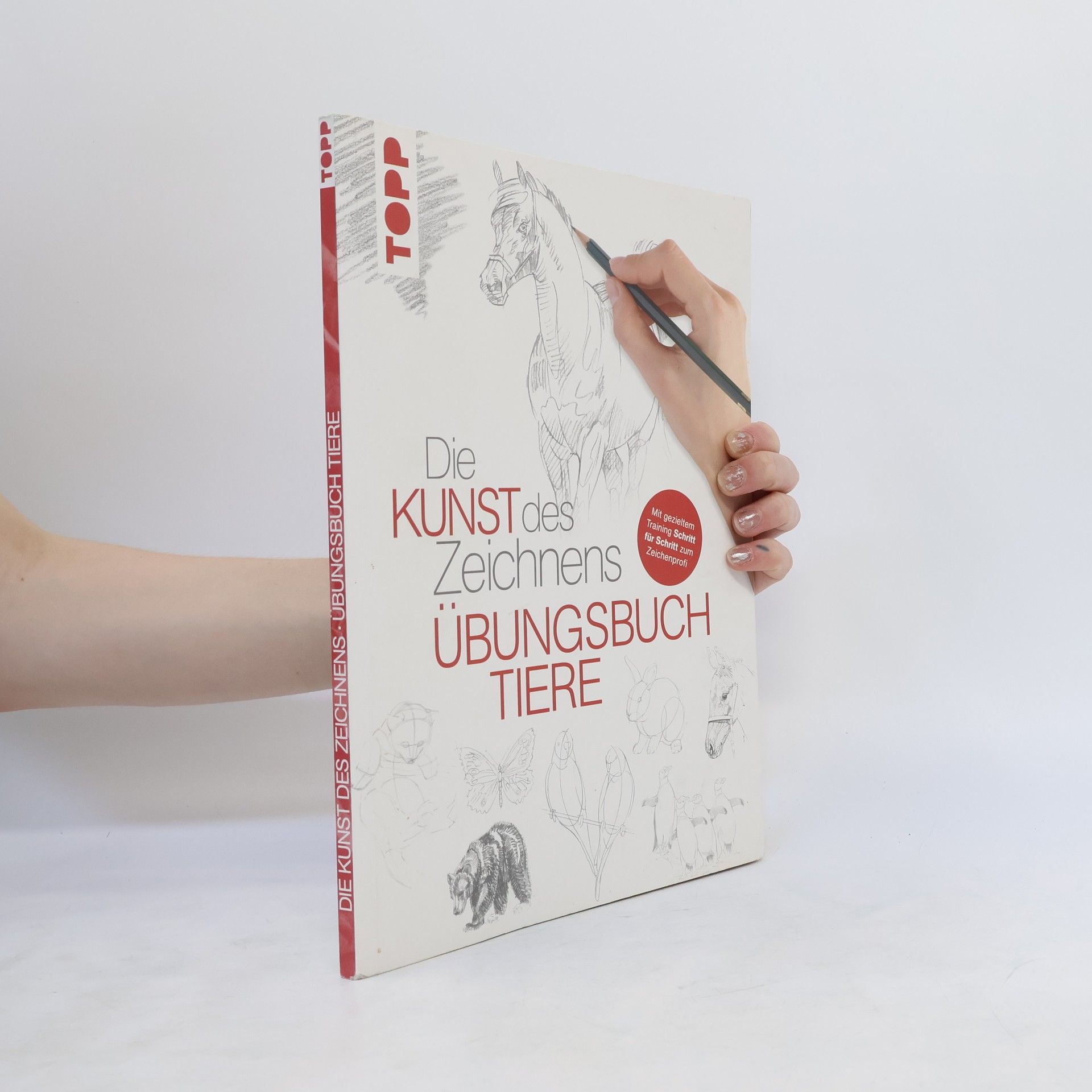 Autorenkollektiv Die Kunst des Zeichnens - Übungsbuch Tiere