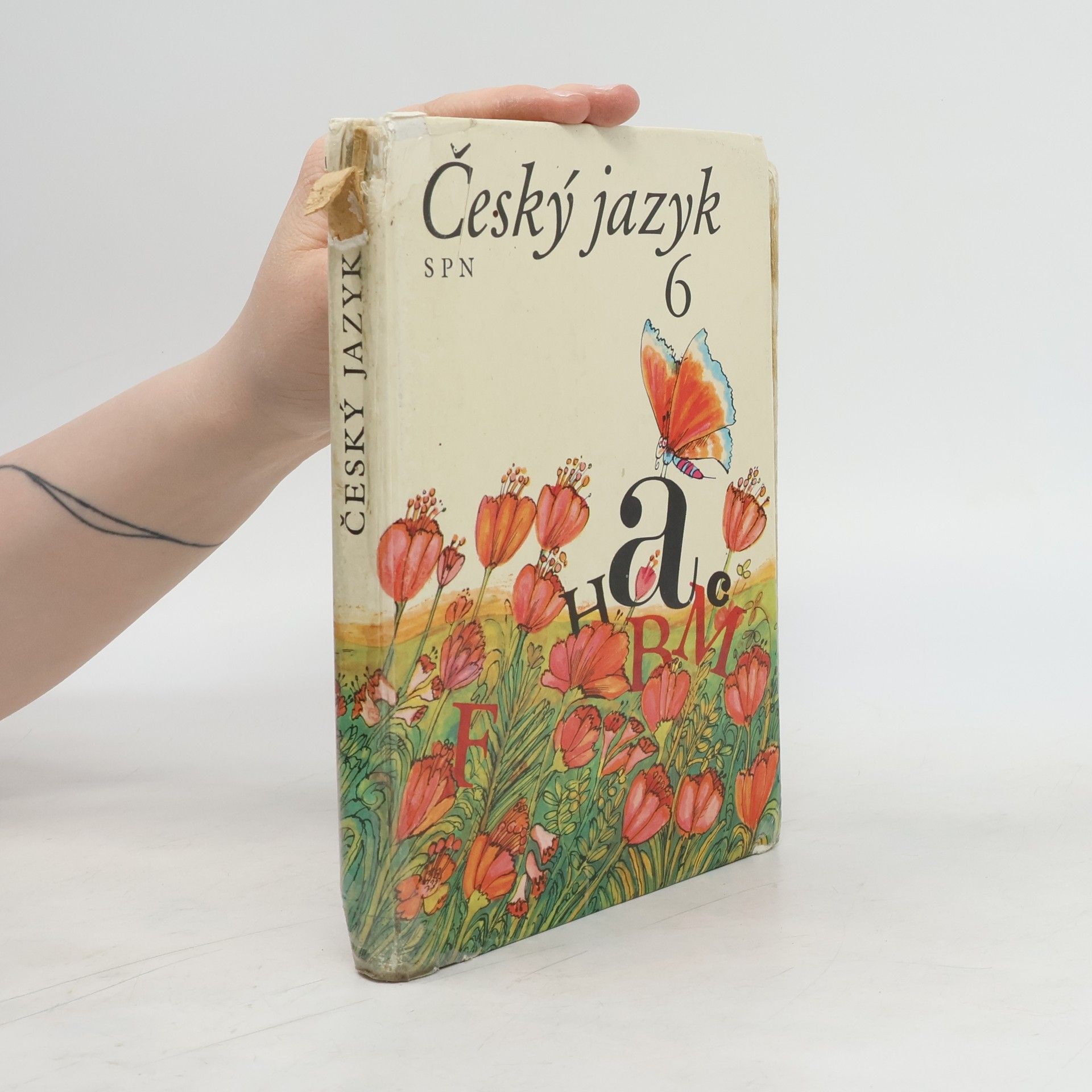 Collective Český jazyk 6