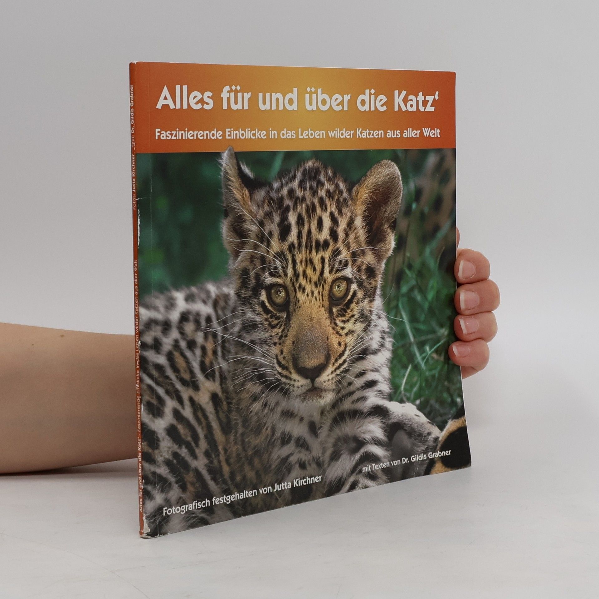 Gildis Grabner Alles für und über die Katz'