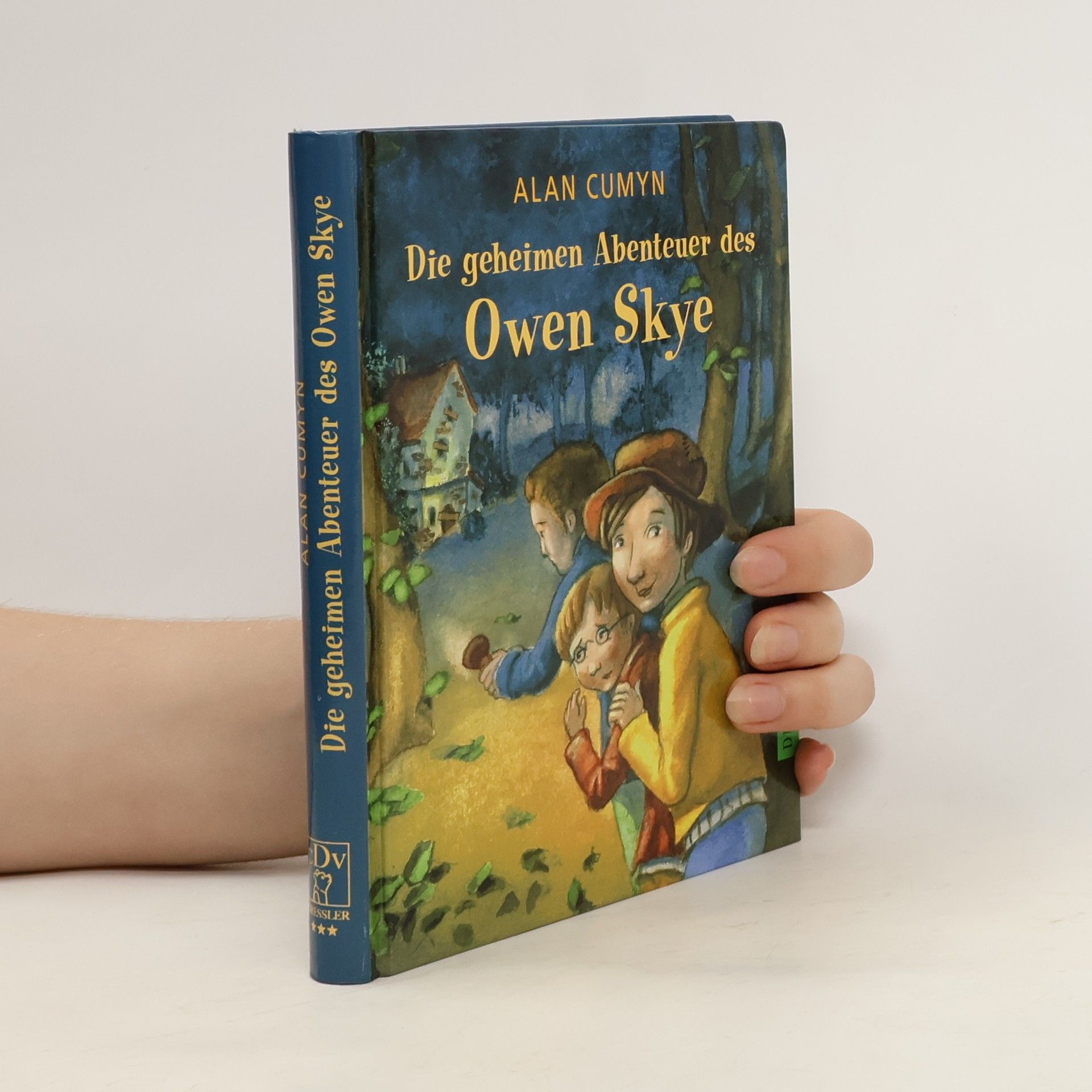 Alan Cumyn Die geheimen Abenteuer des Owen Skye