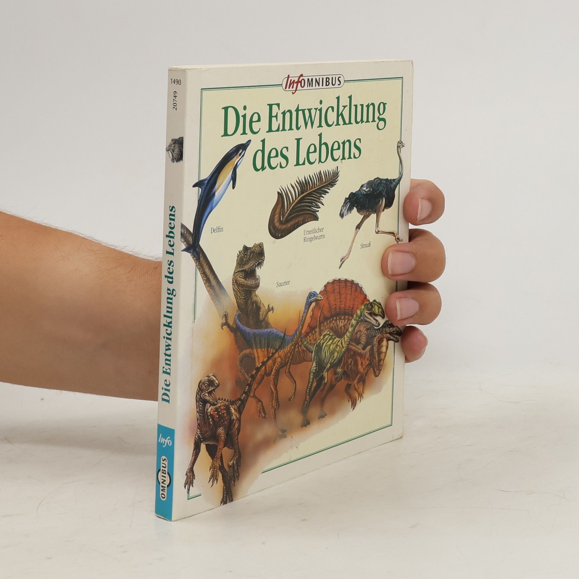 Die Entwicklung des Lebens