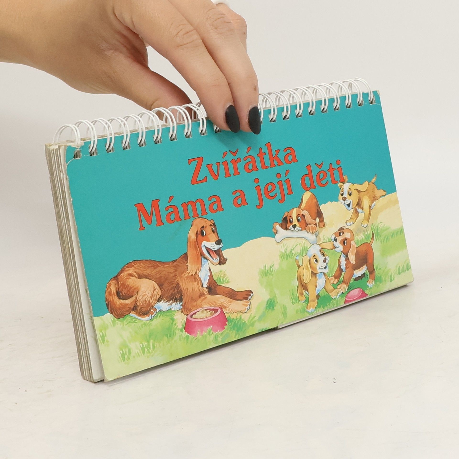 Kolektiv autorů Zvířátka