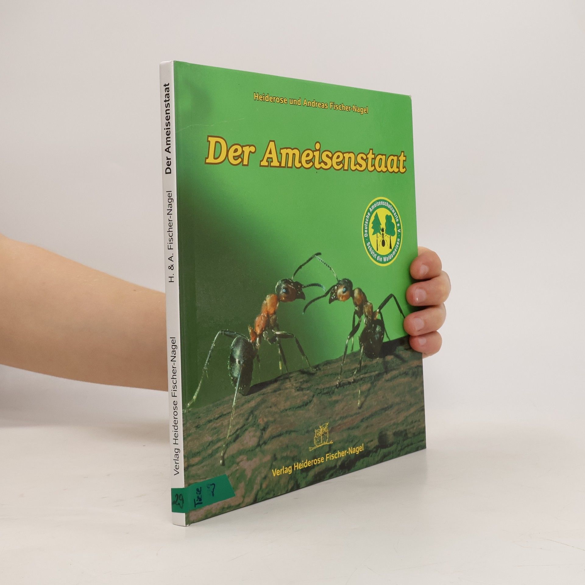 Heiderose Fischer-Nagel Der Ameisenstaat