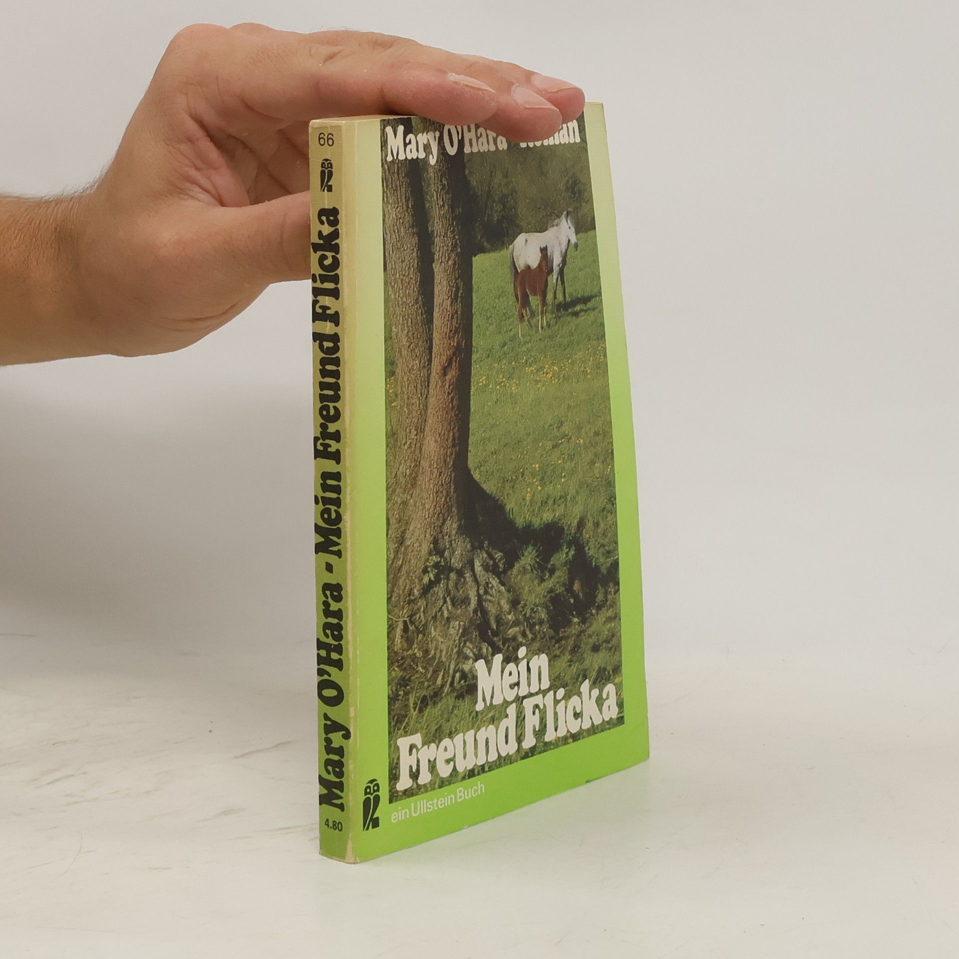 Mary O'Hara Mein Freund Flicka
