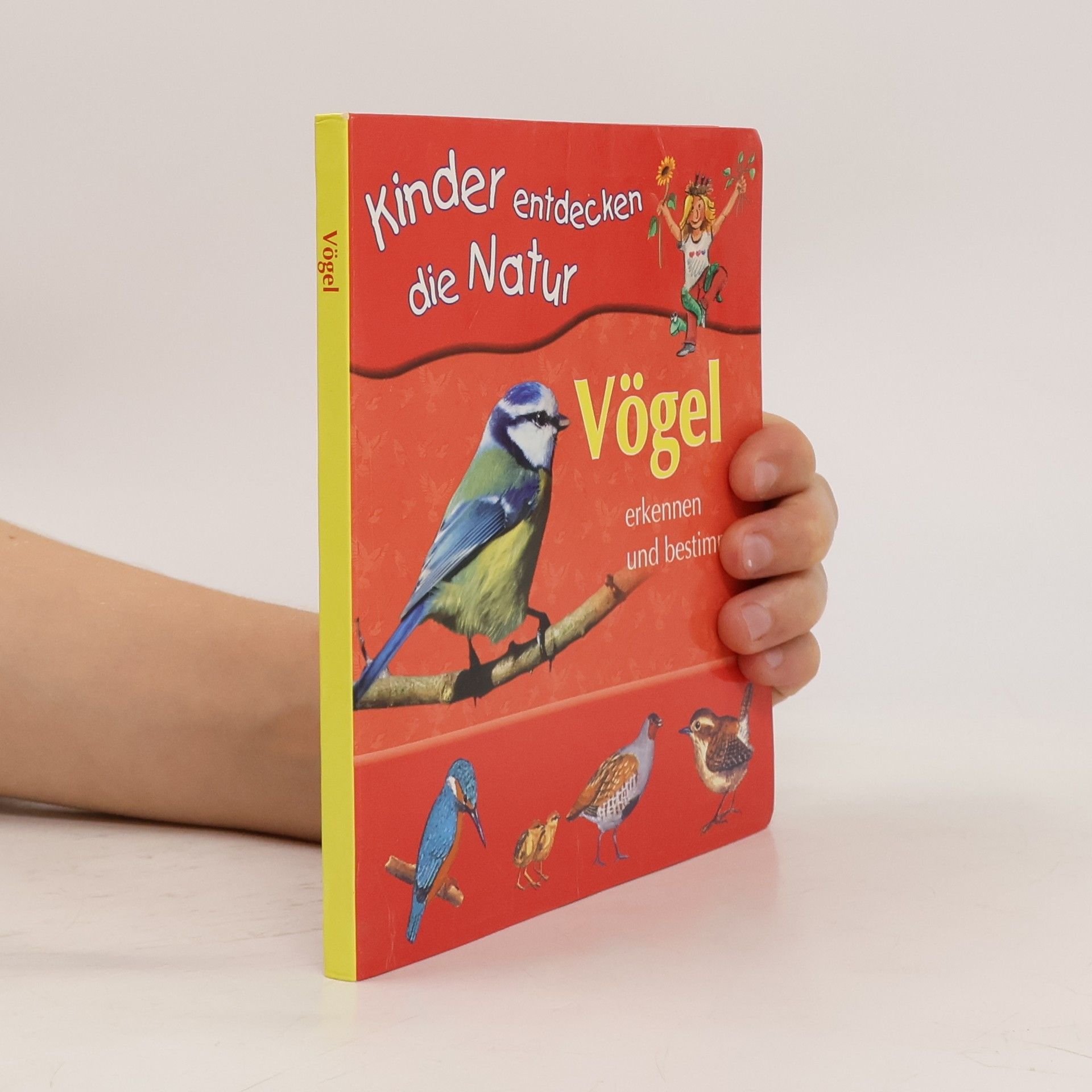 Autorenkollektiv Kinder entdecken die Natur