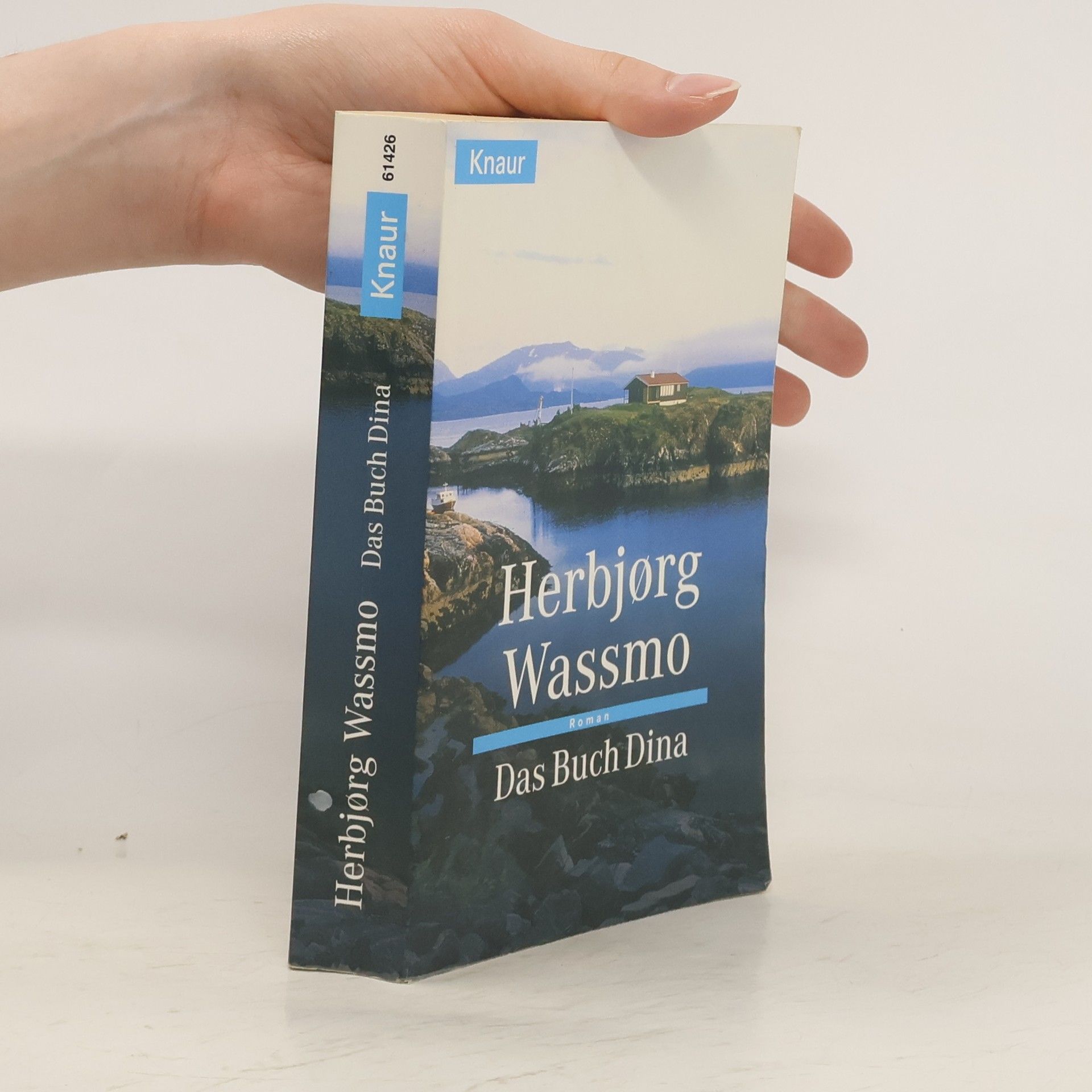Herbjørg Wassmo Das Buch Dina