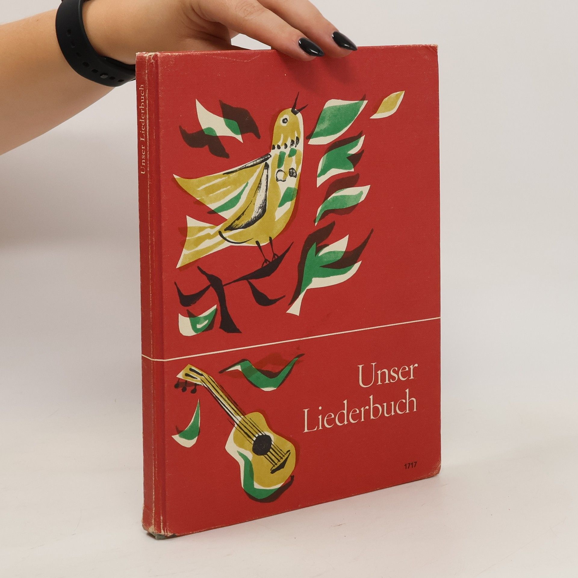 kolektiv Unser Liederbuch