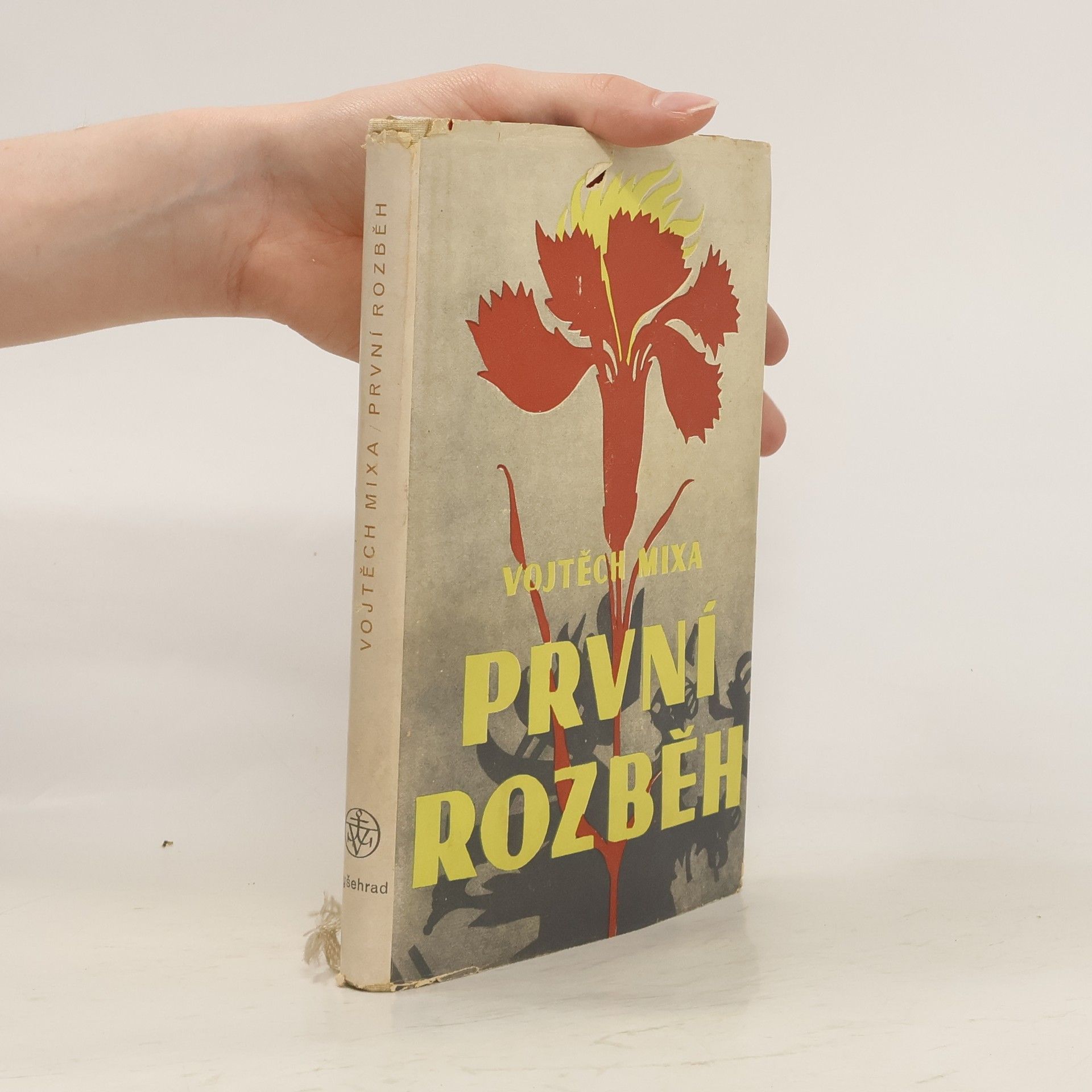 Vojtěch Mixa První rozběh