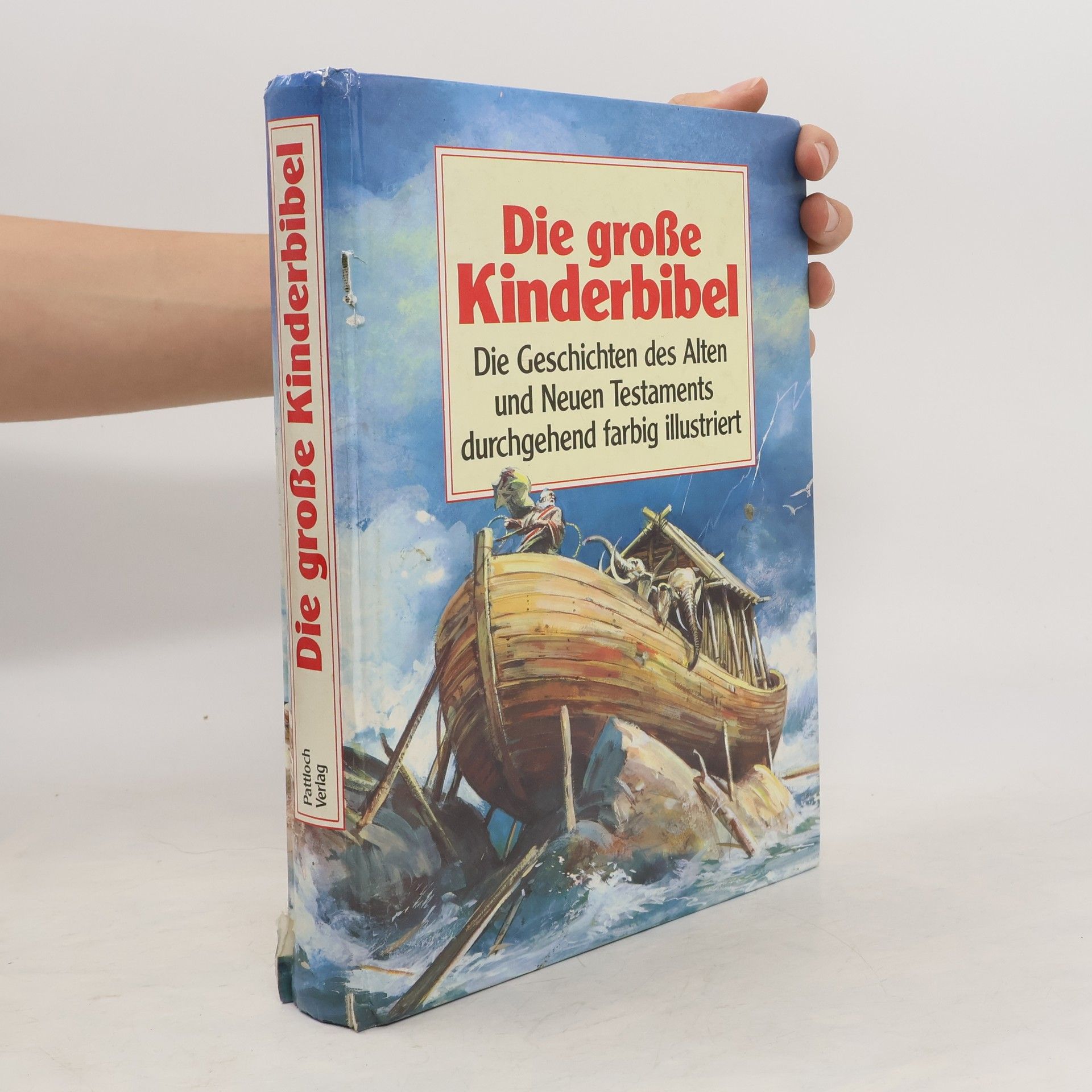 Marjorie Newman Die große Kinderbibel. Die Geschichten aus des Alten und Neuen Testaments durchgehend farbig illustriert