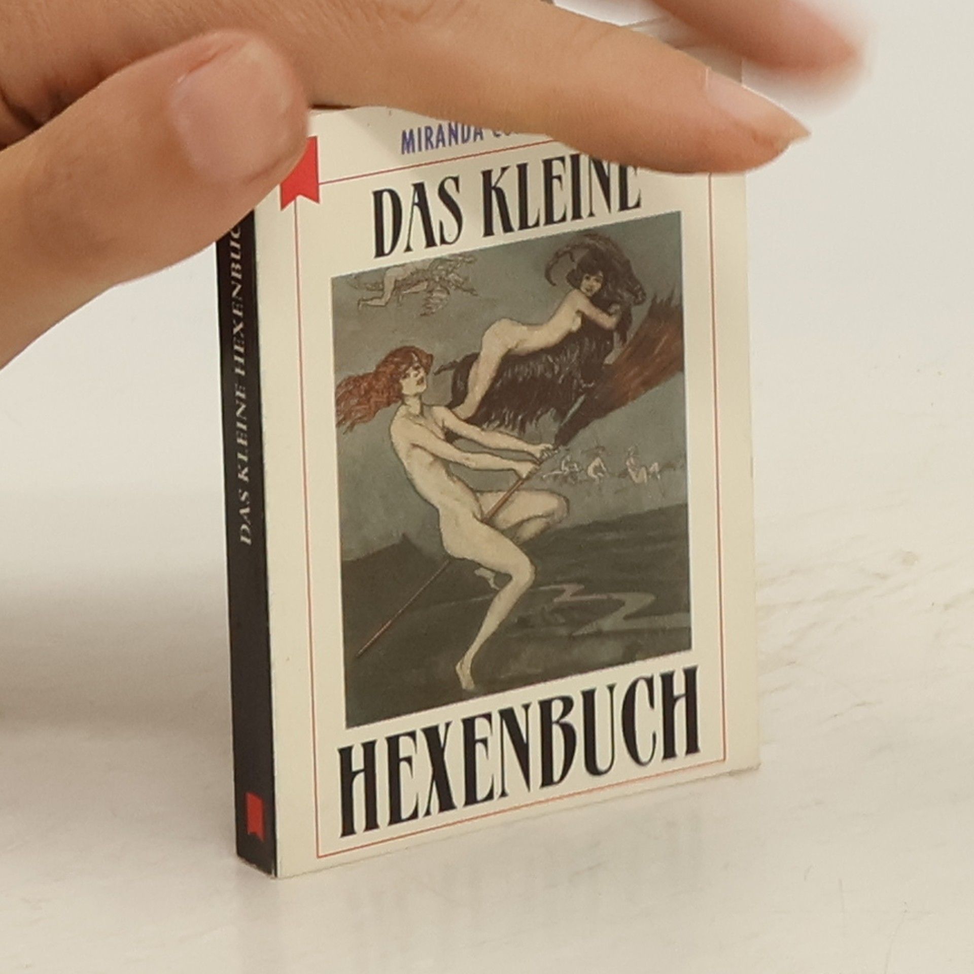Miranda Compostella Das kleine Hexenbuch