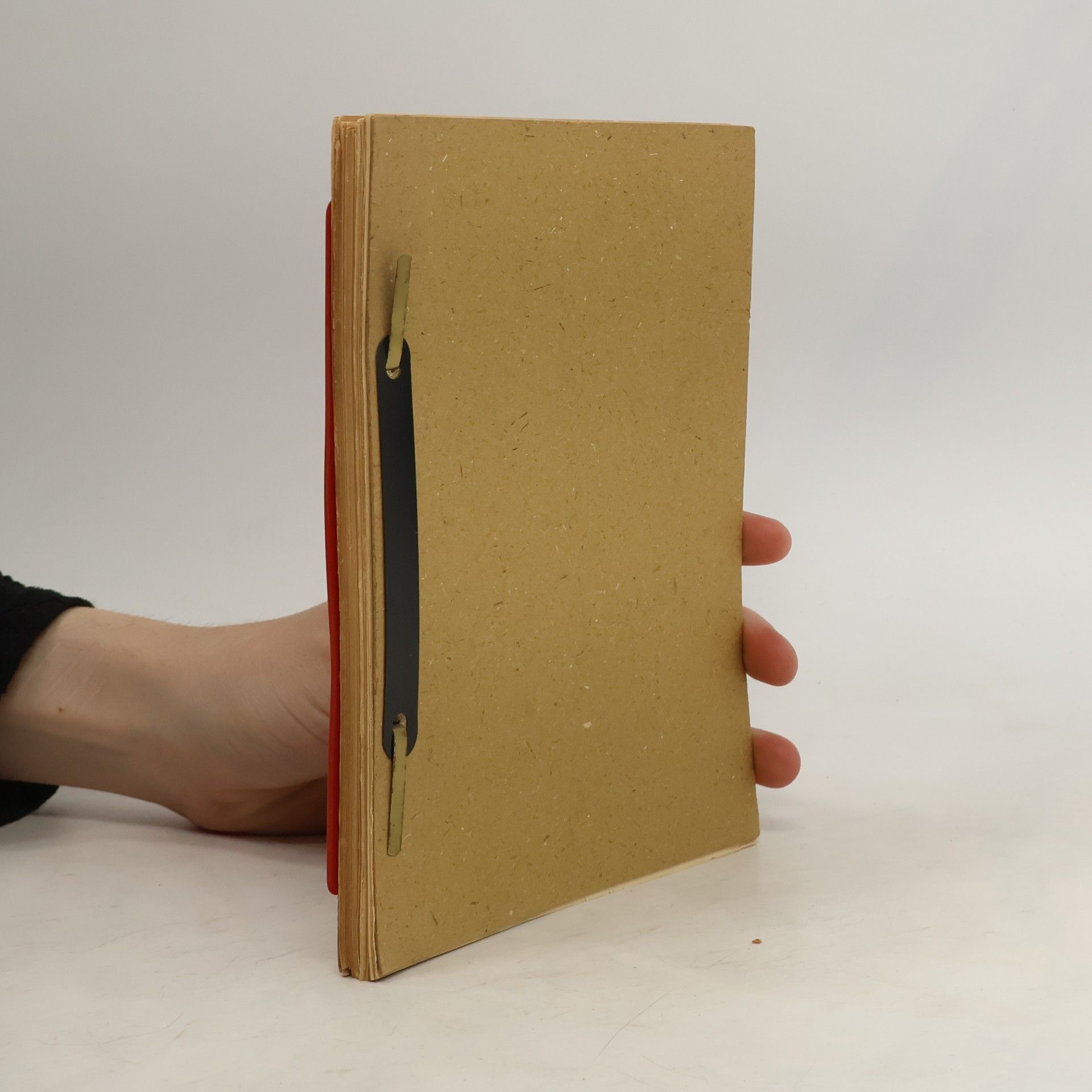 Collectif d'auteurs 149. Gesetz über die vorläufige Fortgeltung der Inanspruchnahme von Gegenständen für Zwede der ausländischen Streitkräfte und ihrer Mitglieder