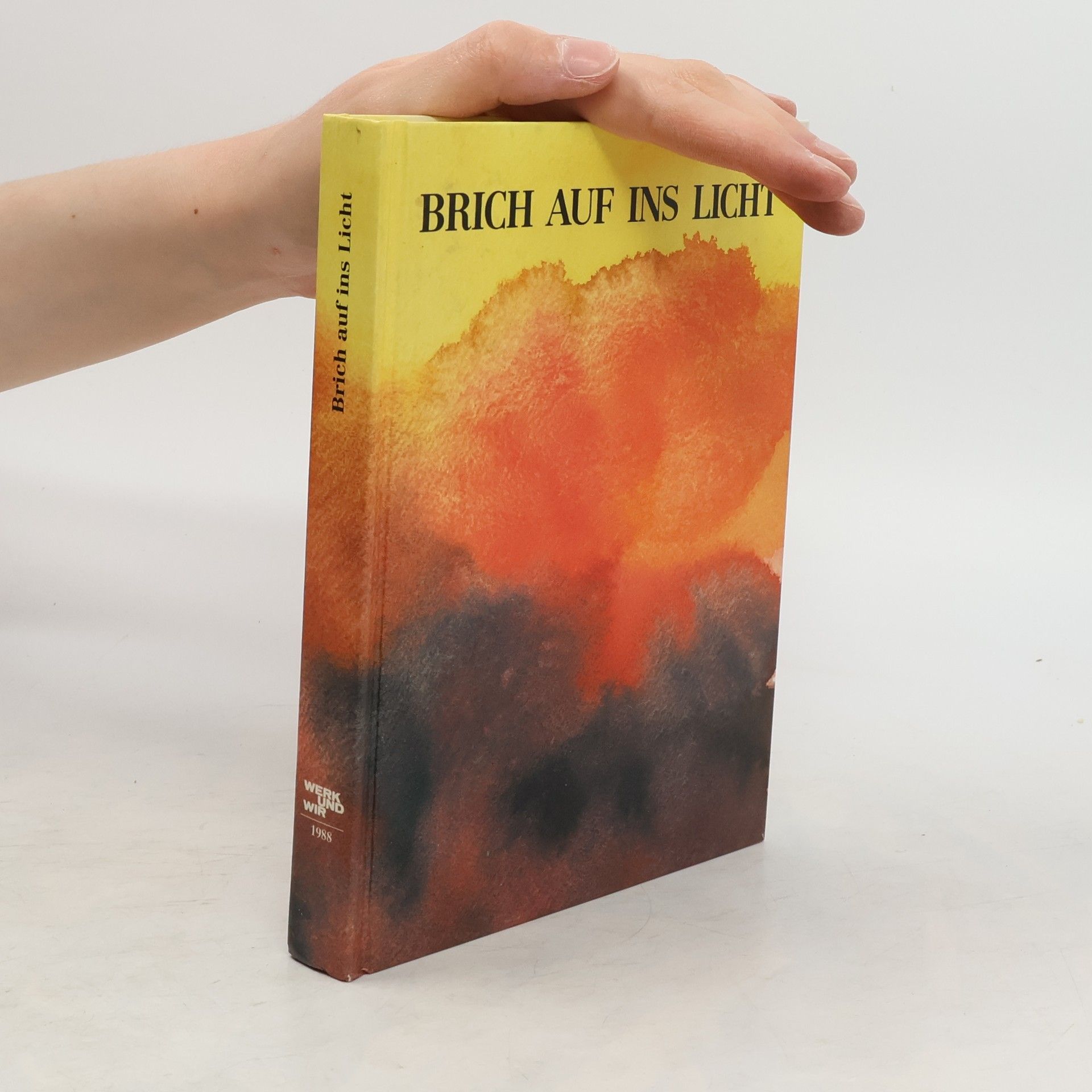 Collectif d'auteurs Brich Auf Ins Licht