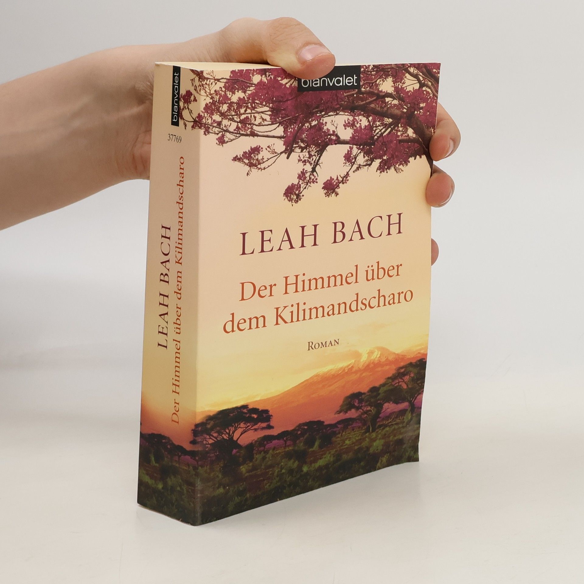 Anne Jacobs Der Himmel über dem Kilimandscharo