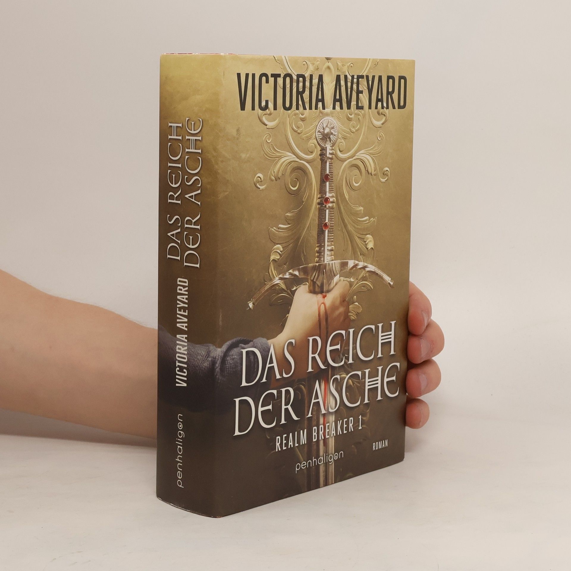 Victoria Aveyard Das Reich der Asche - Realm Breaker 1